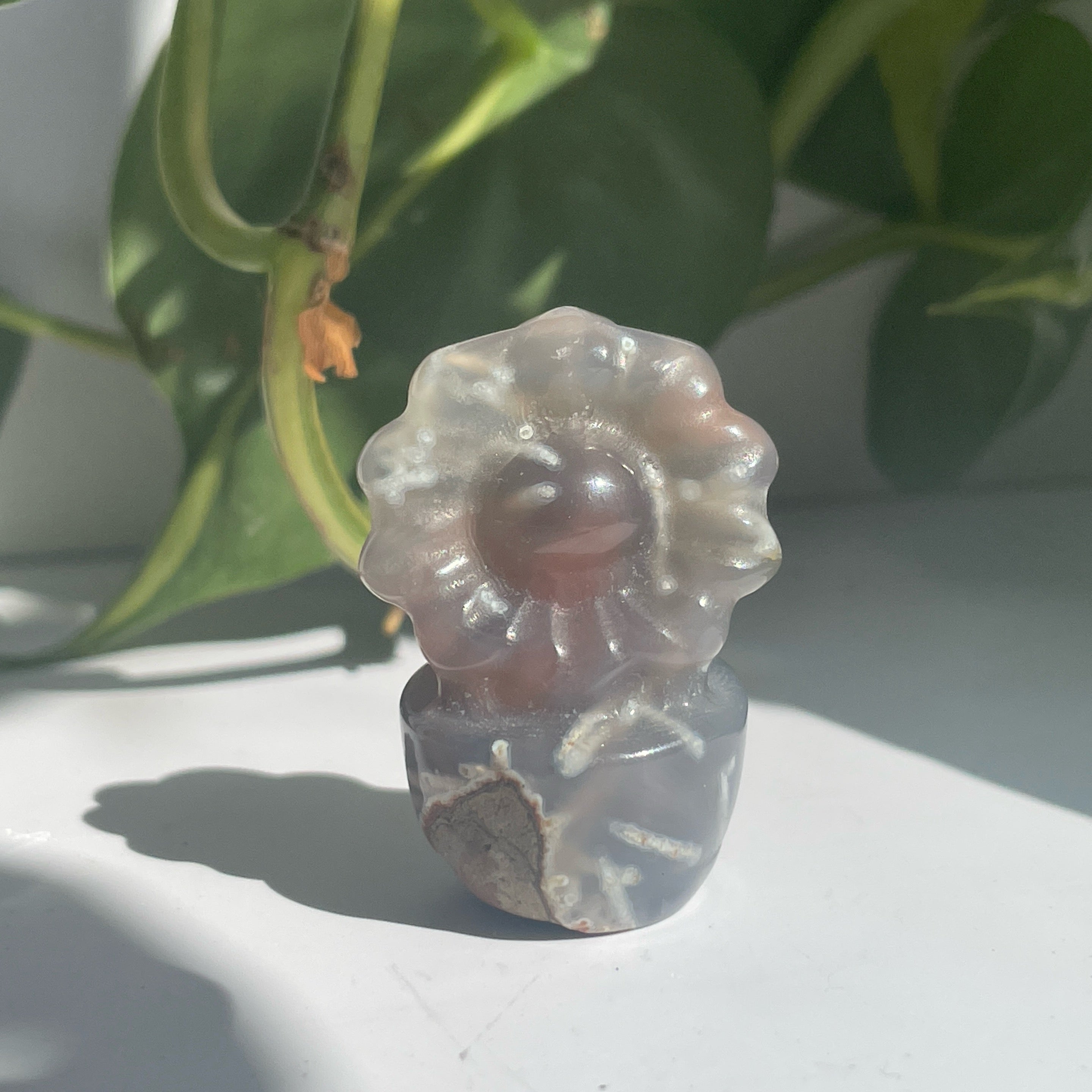 Carnelian Flower Pot
