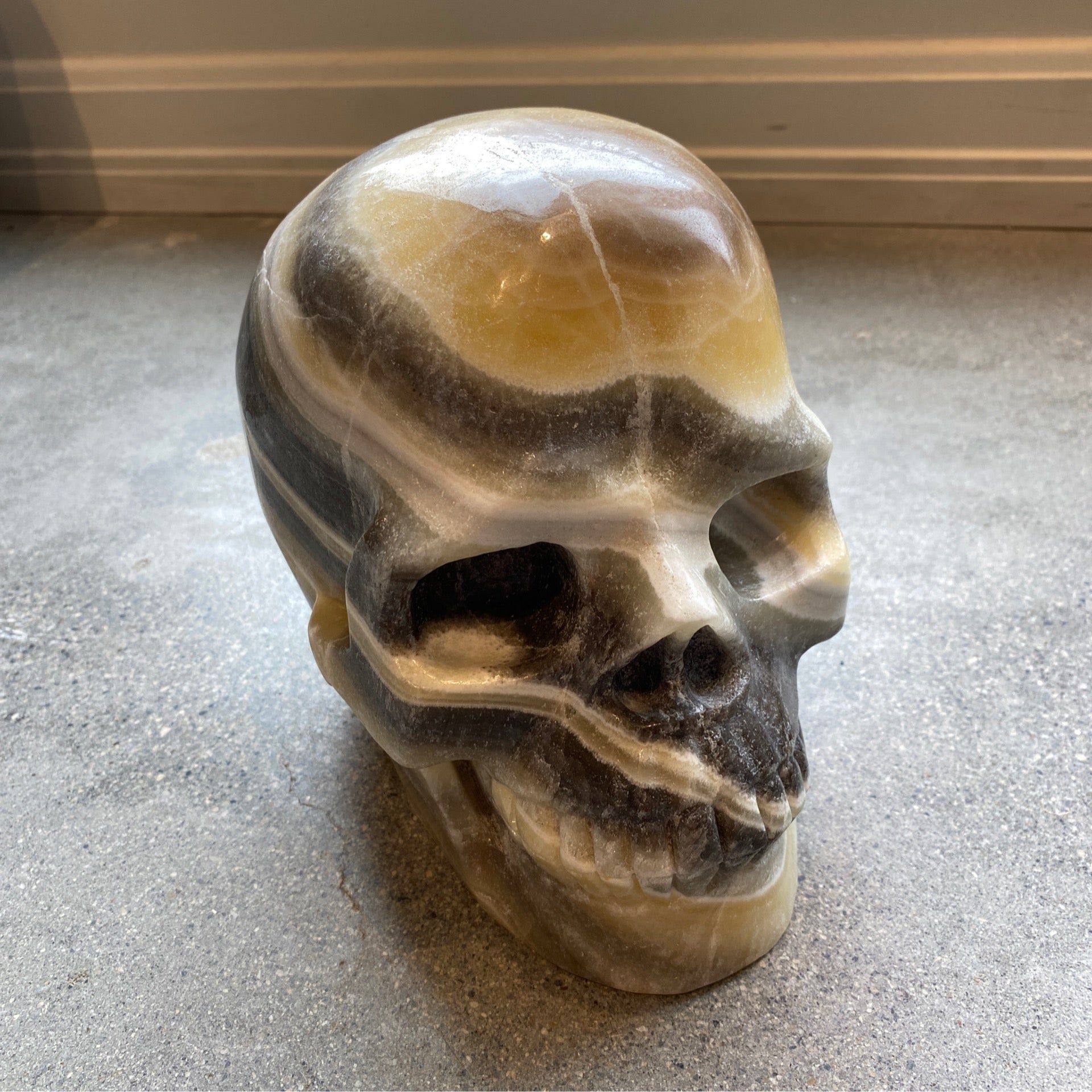XL Yellow Banded Calcite Skull