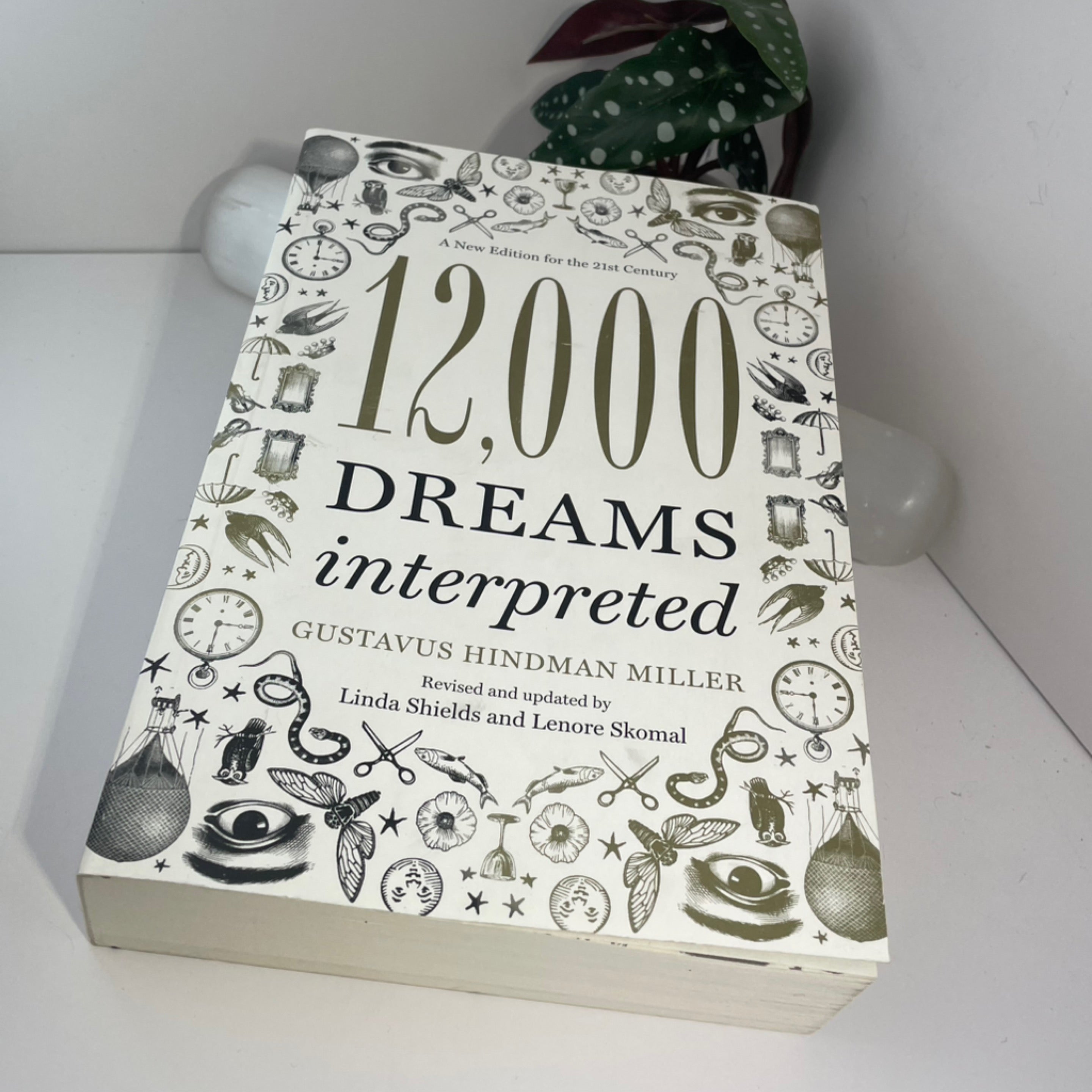 12000 Dreams Interpreted