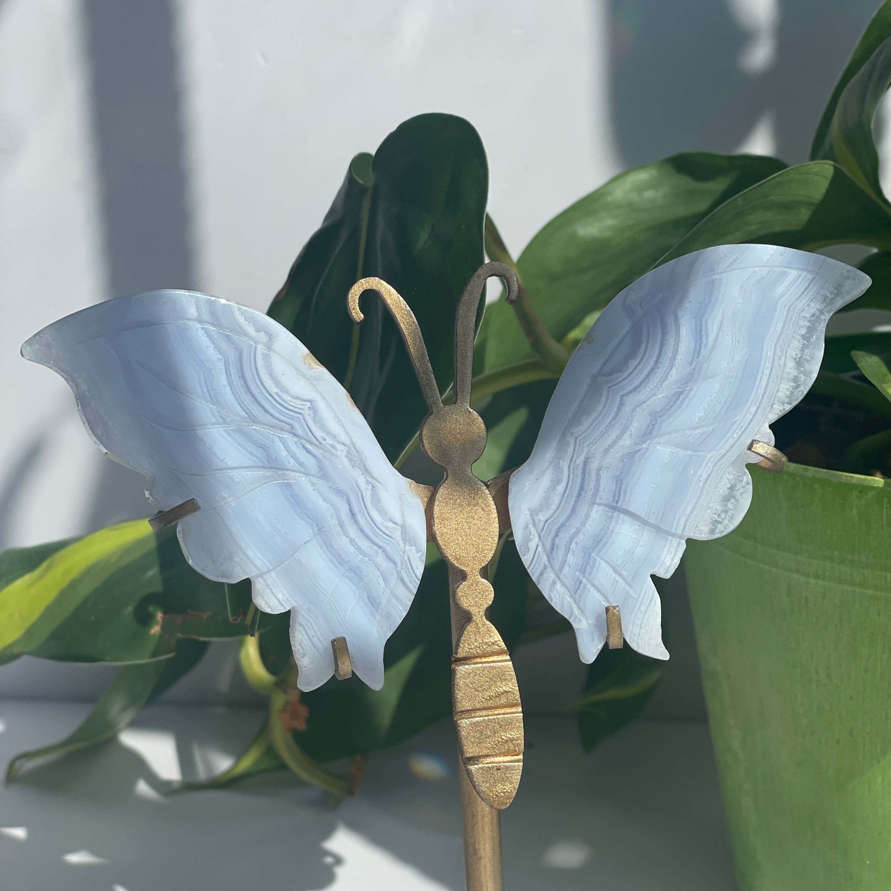 Blue Lace Agate Butterfly