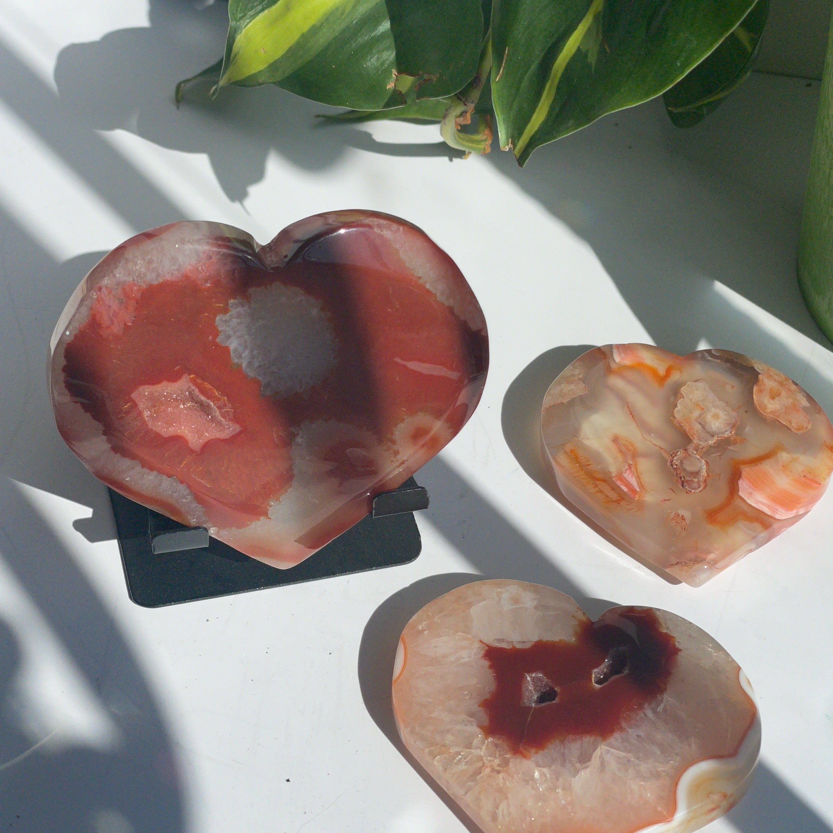 Carnelian Hearts