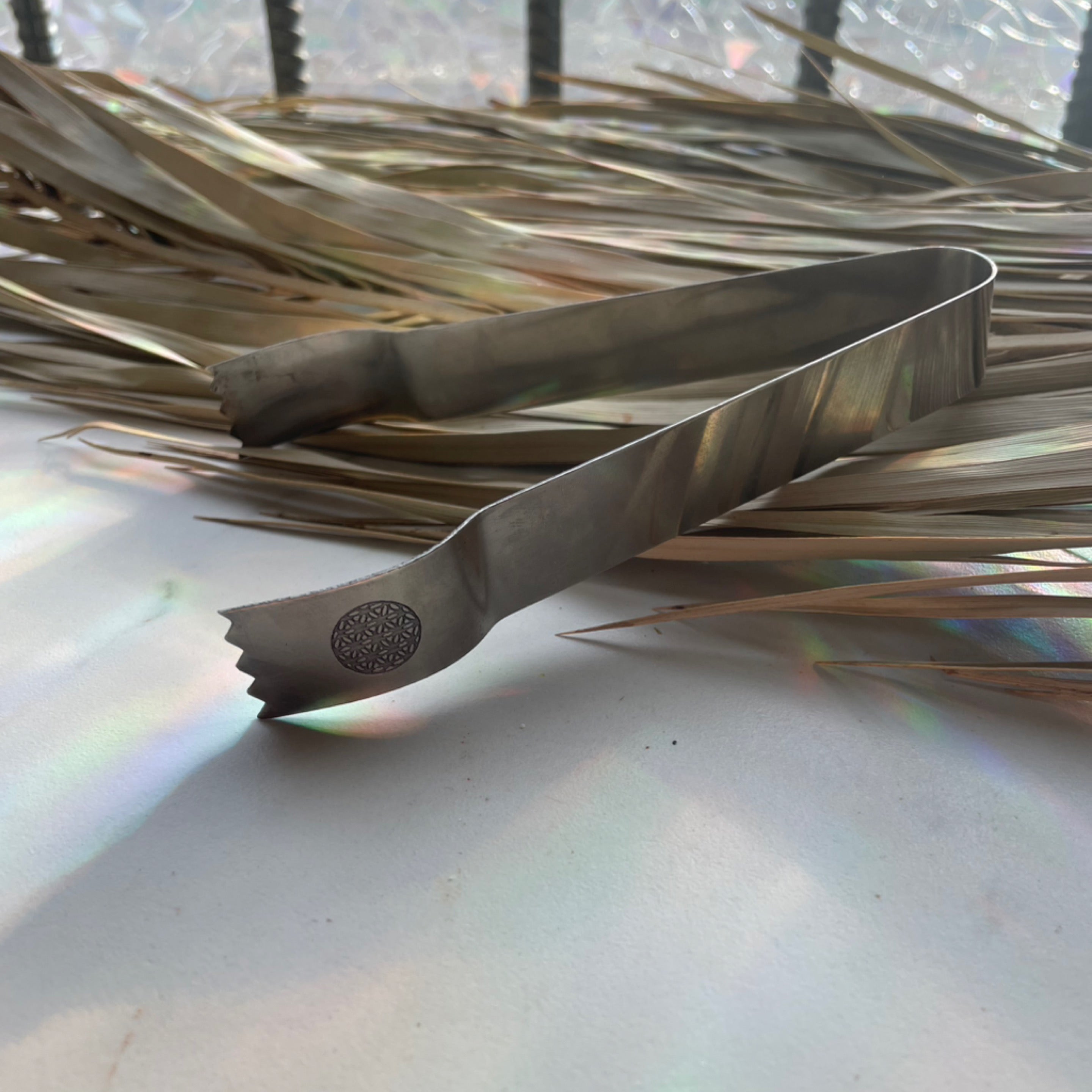 Charcoal Tongs