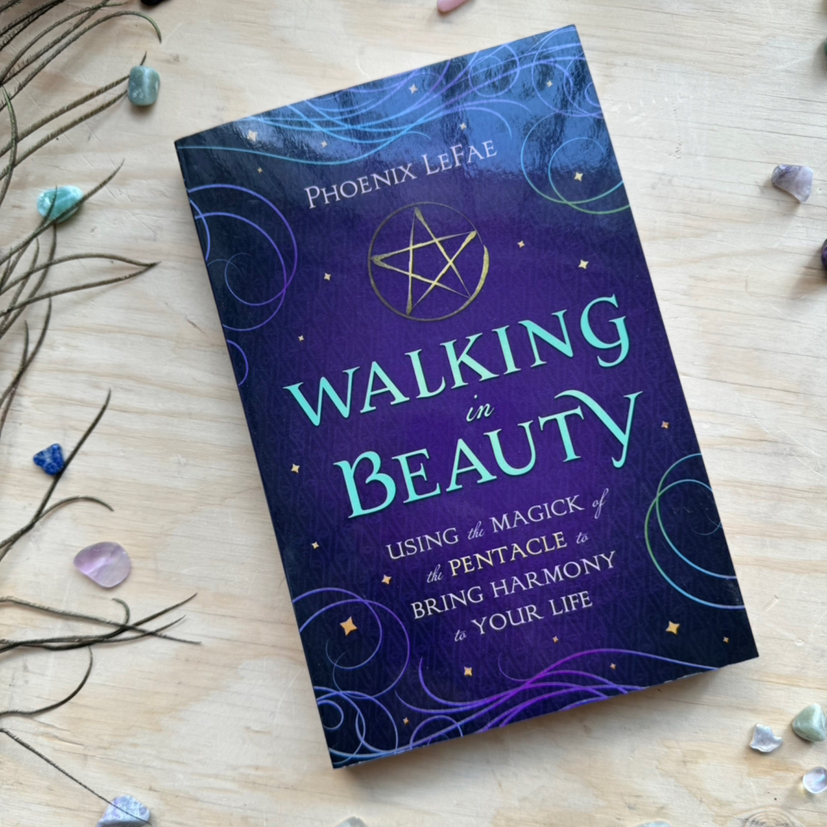 Walking in Beauty Book