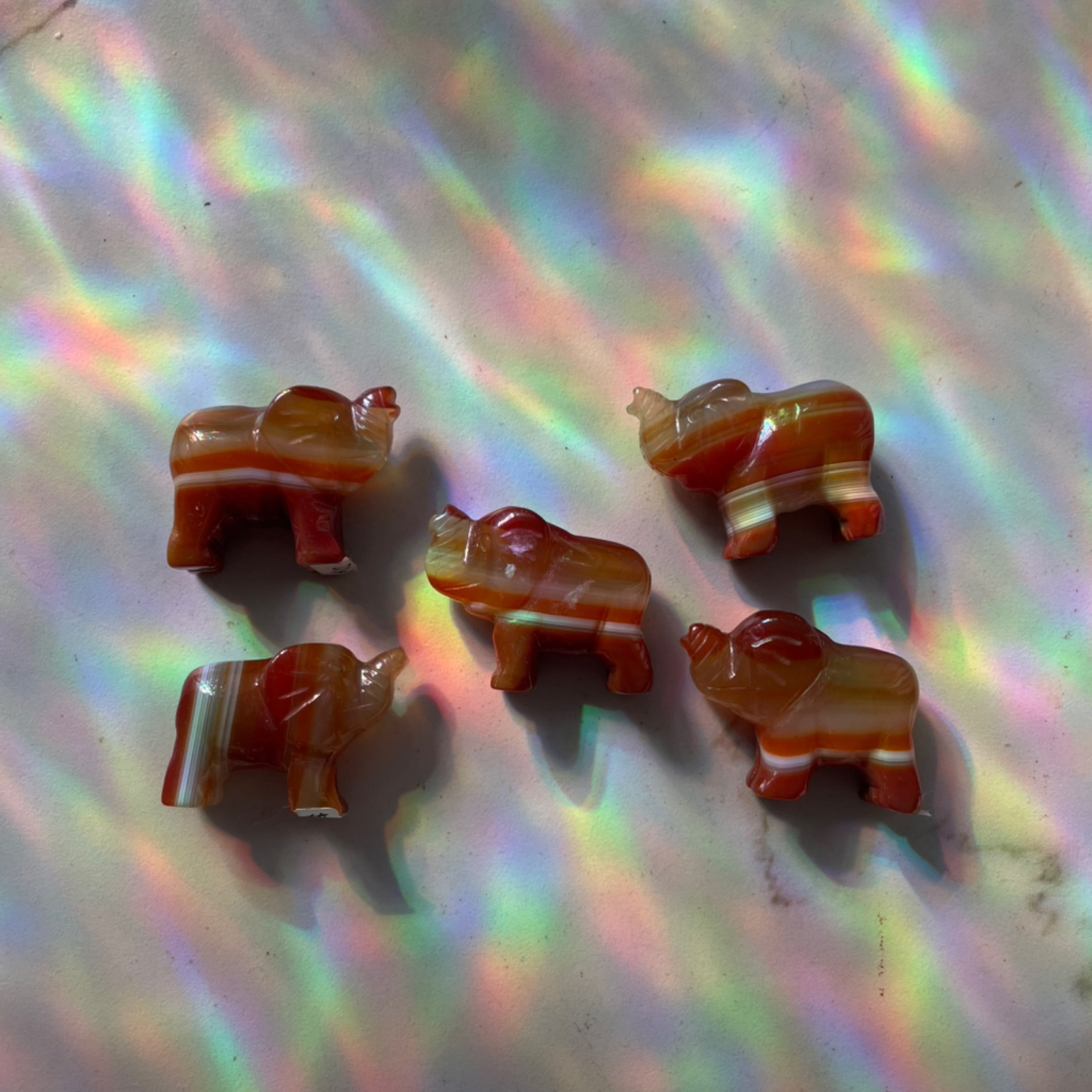 Carnelian Mini Elephants