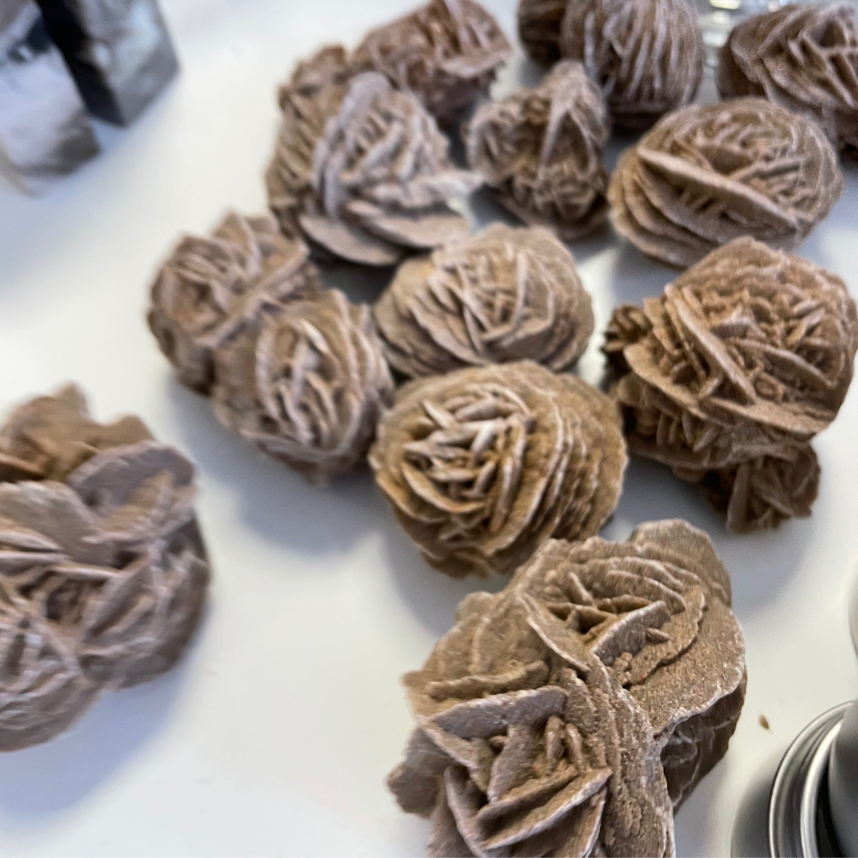 Desert Rose Larger $5-$10