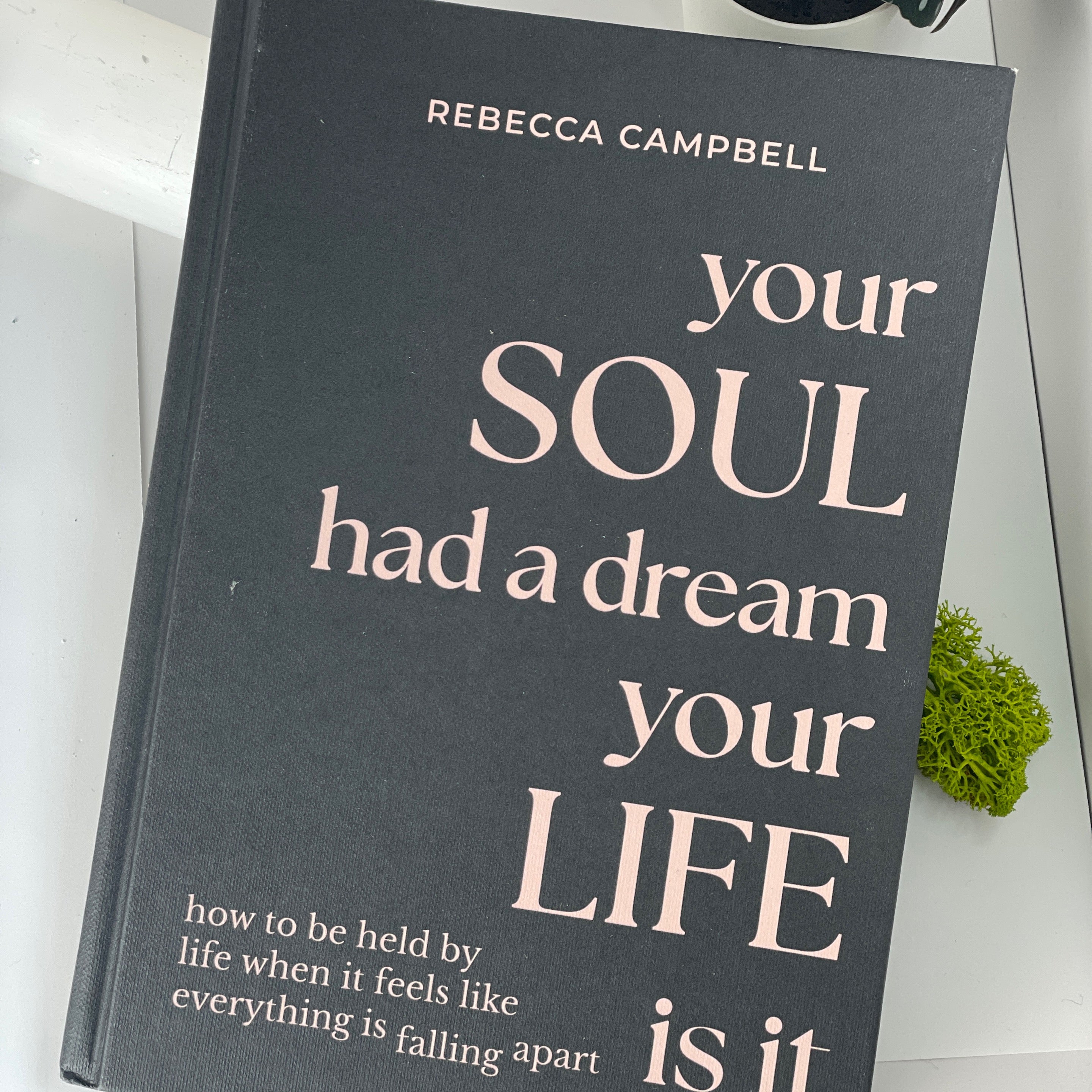 Your Soul Had A Dream Your Life Is It