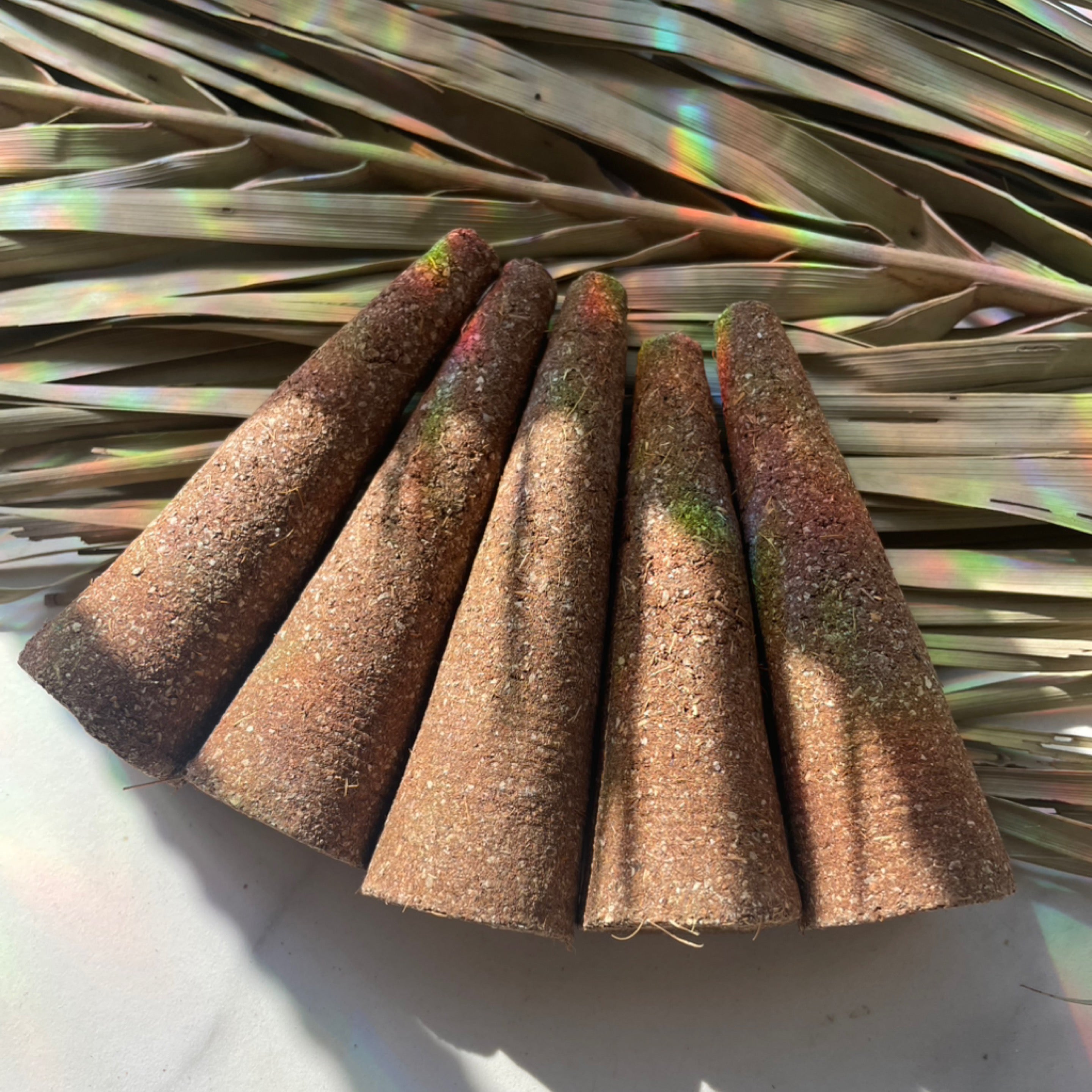 White Sage Smudge Cones - 5 Pack