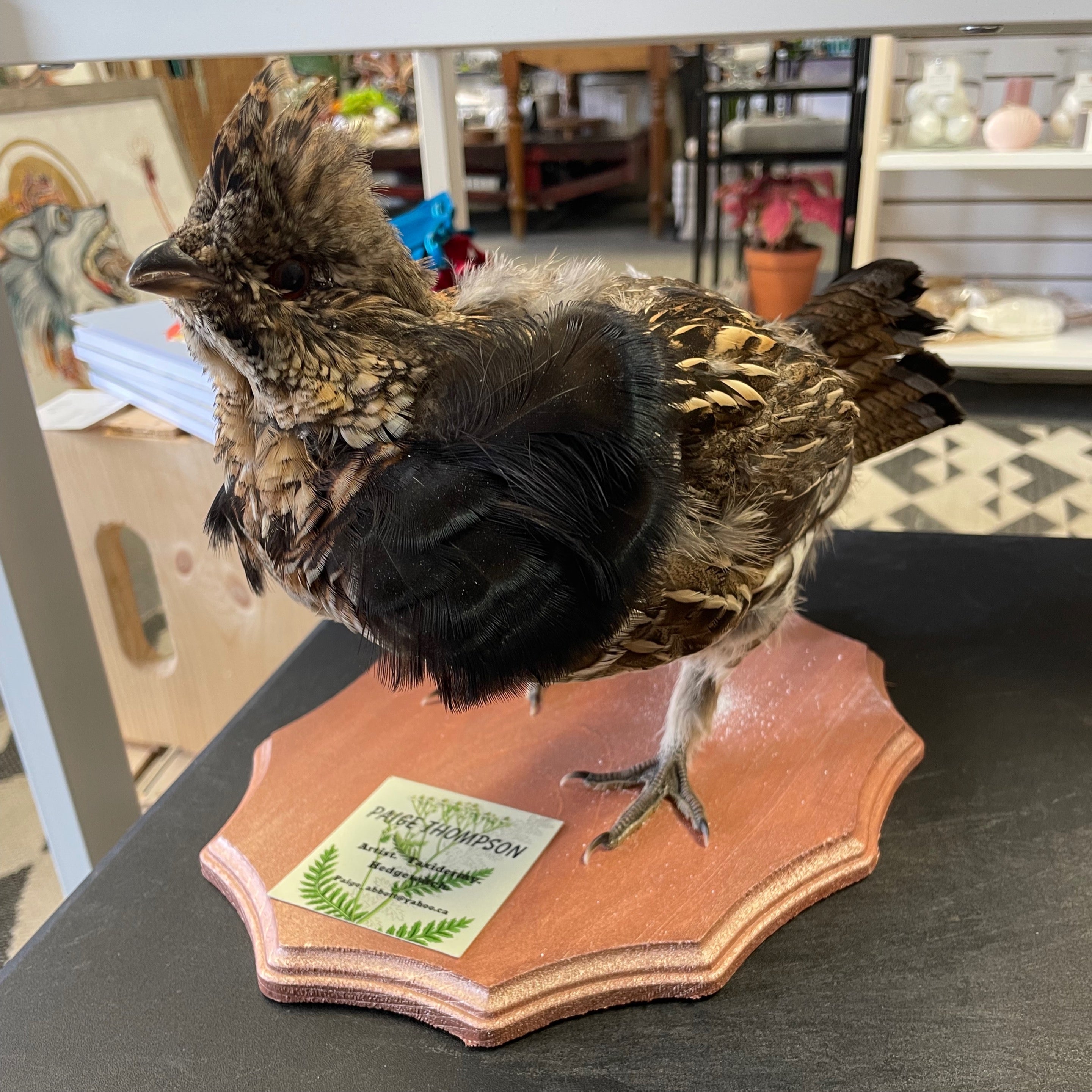 PJT Bird Ruffled Grouse