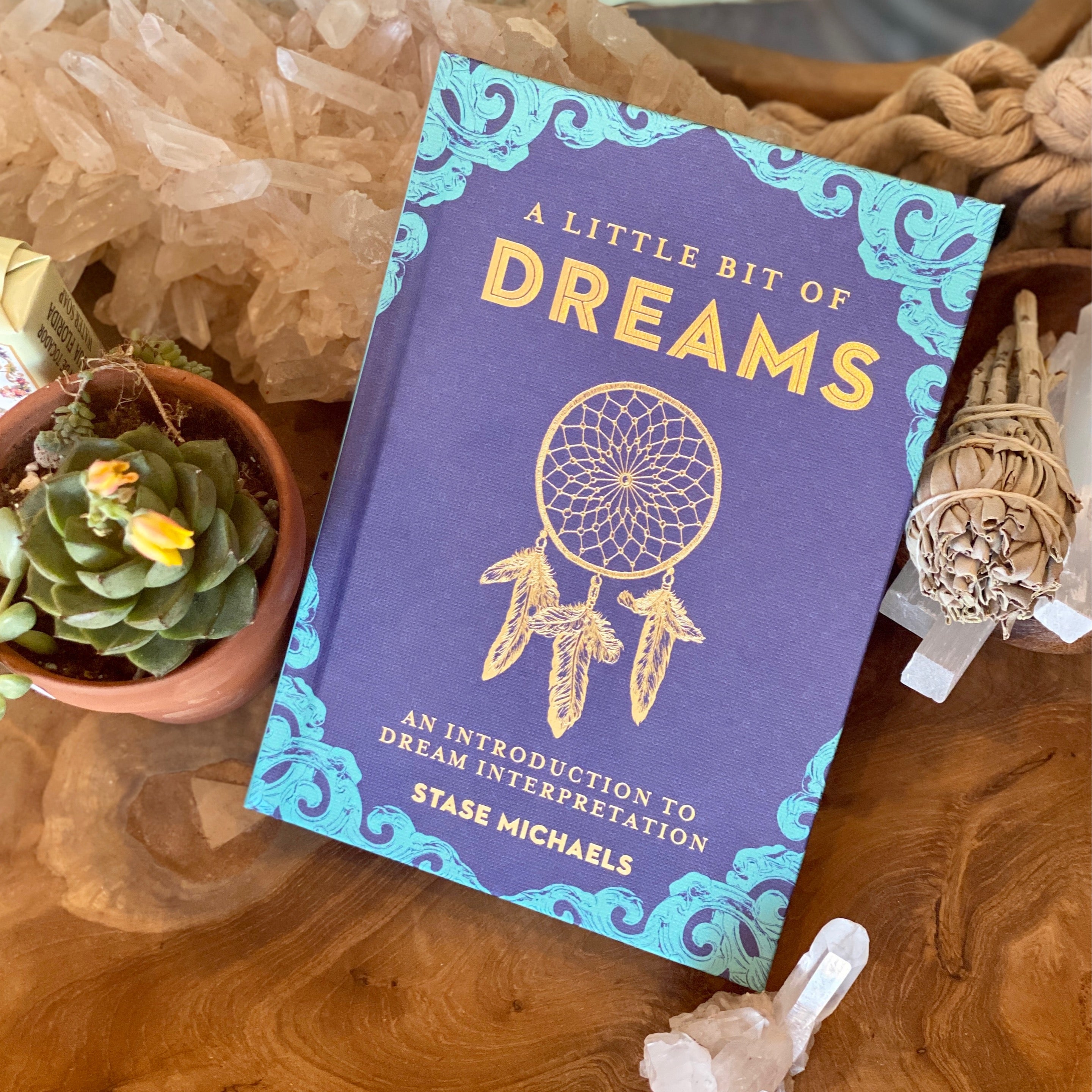 A Little Bit of Dreams Book