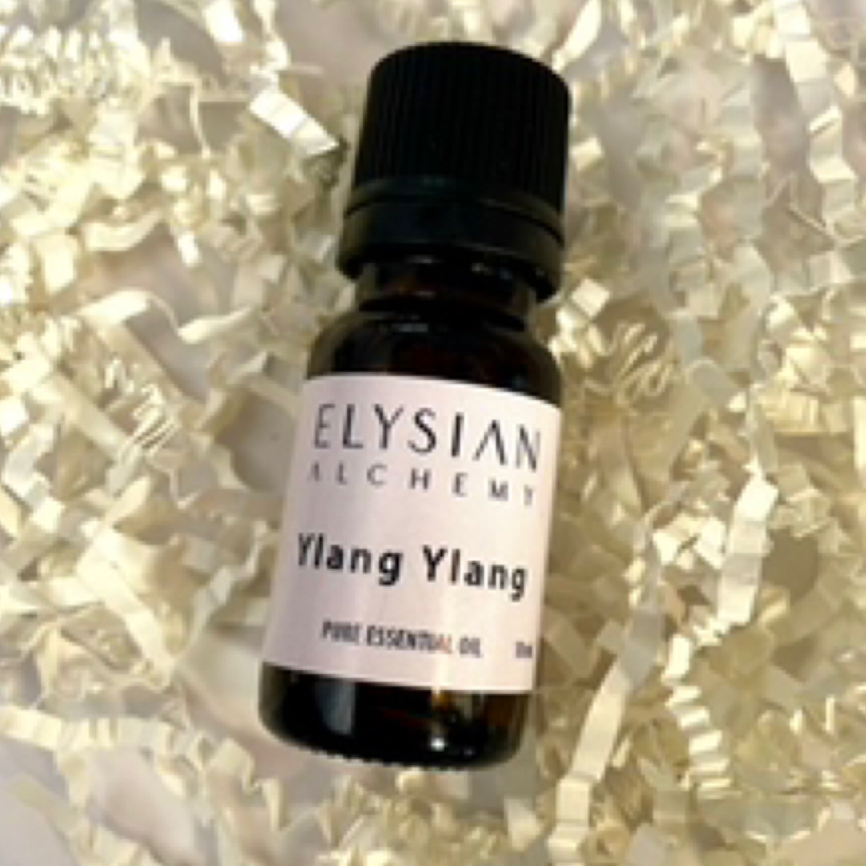 Ylang ylang essential oil