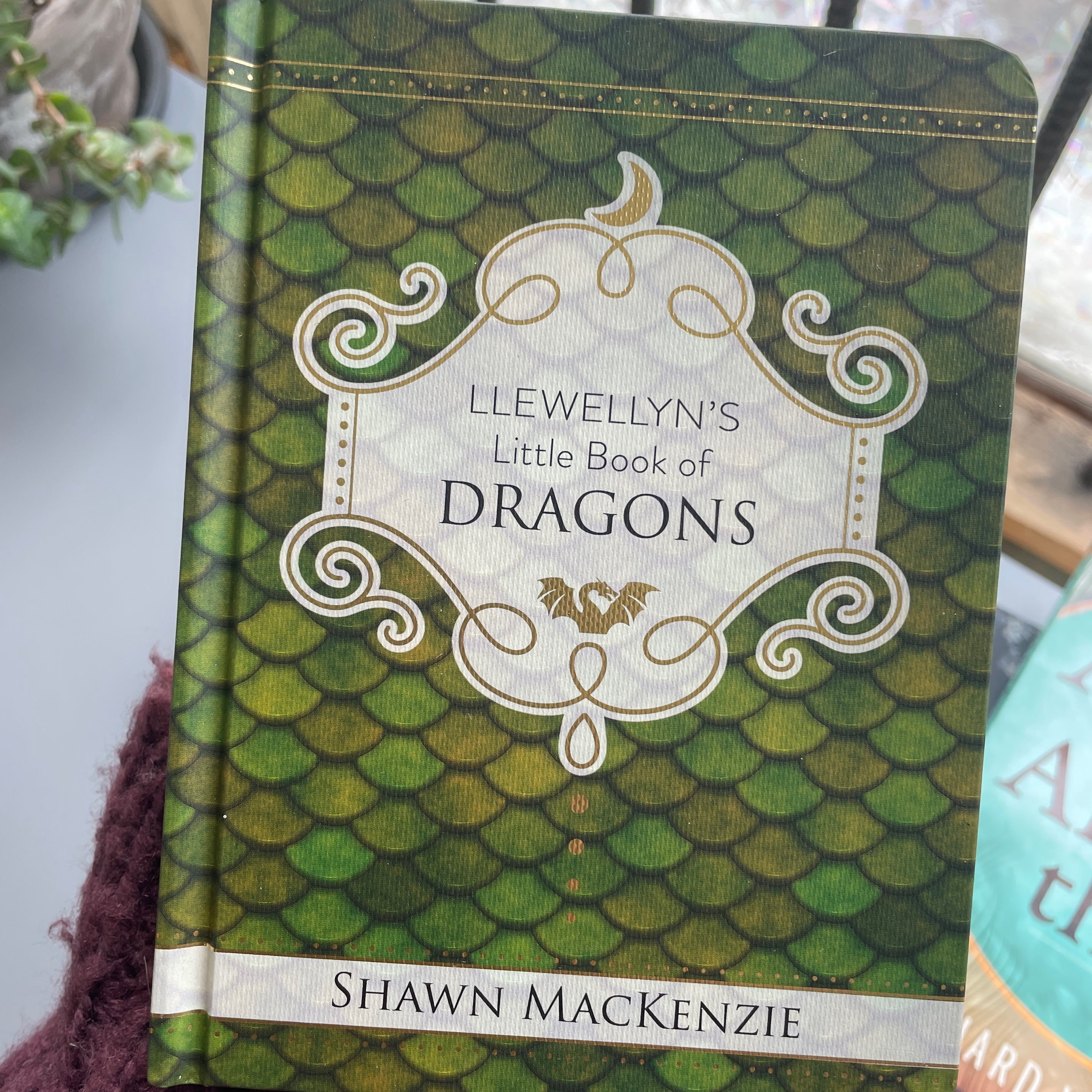 Little Book Of Dragons