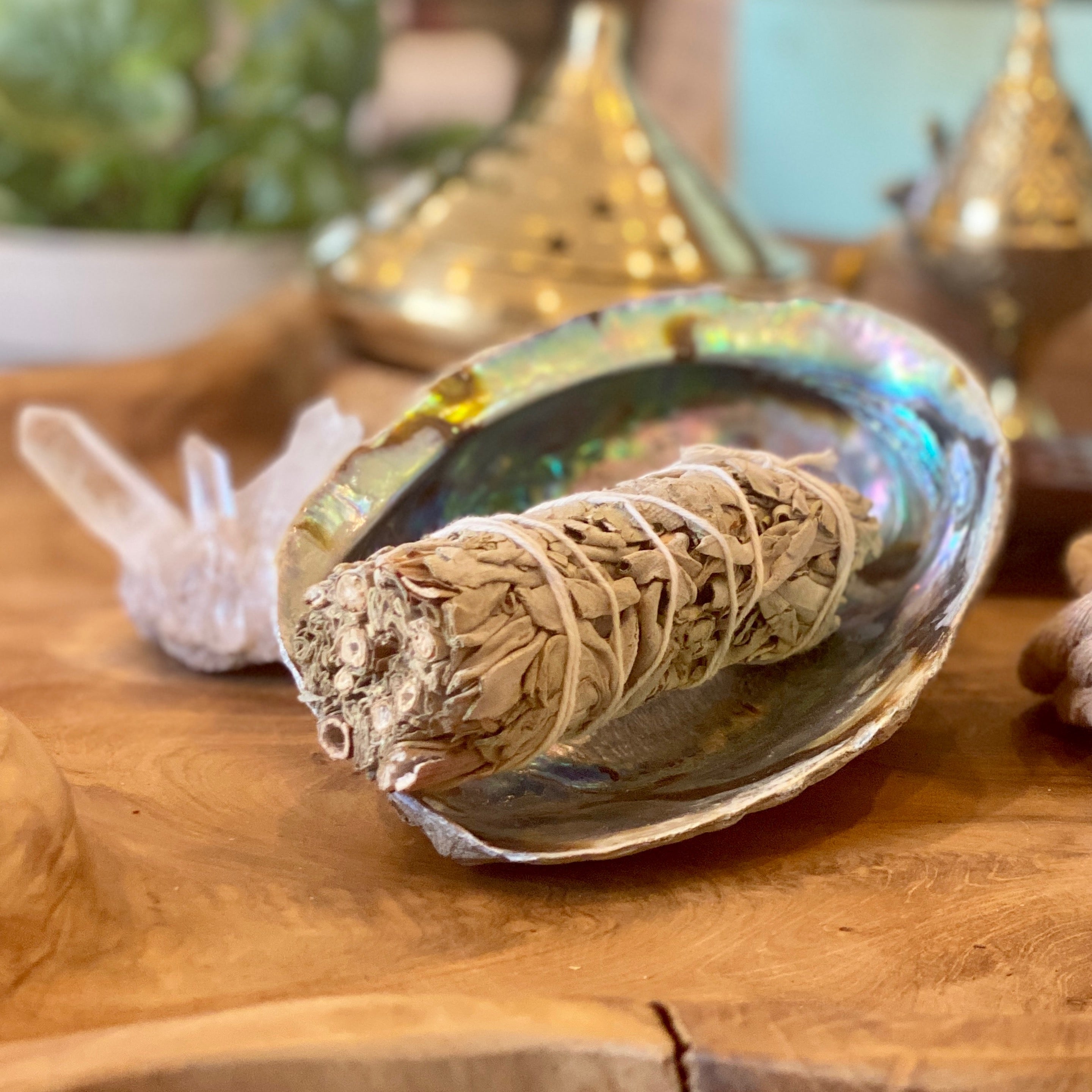 White Sage Bundle
