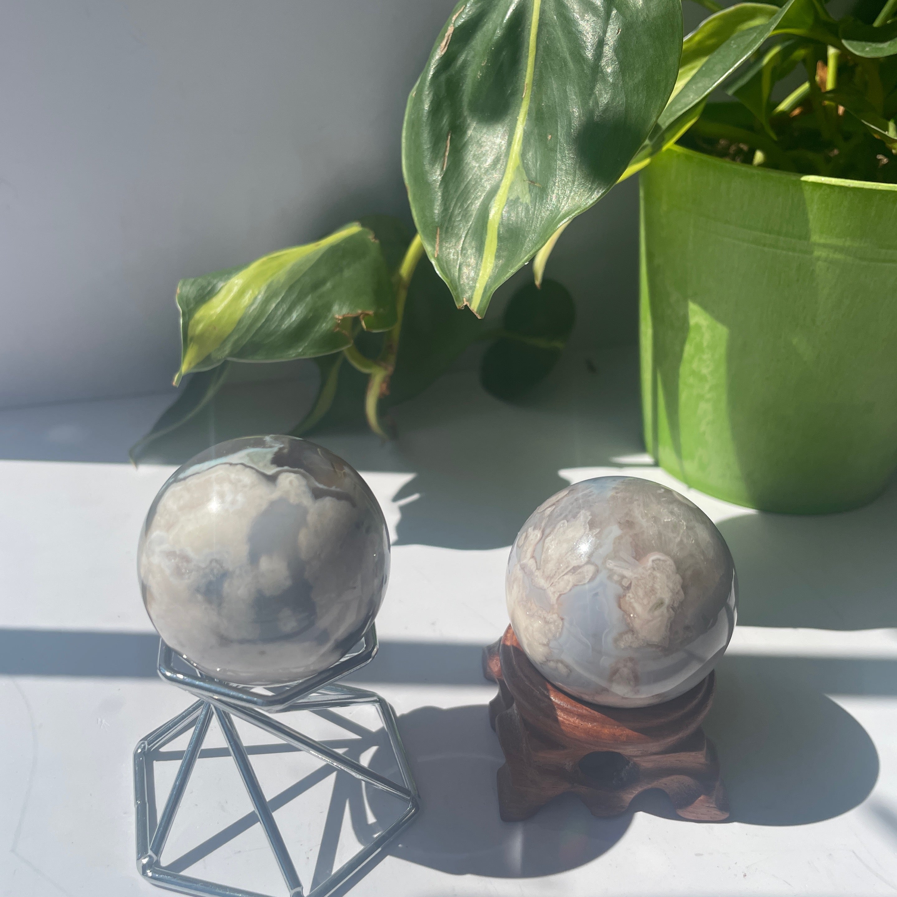 Black Flower Agate Spheres