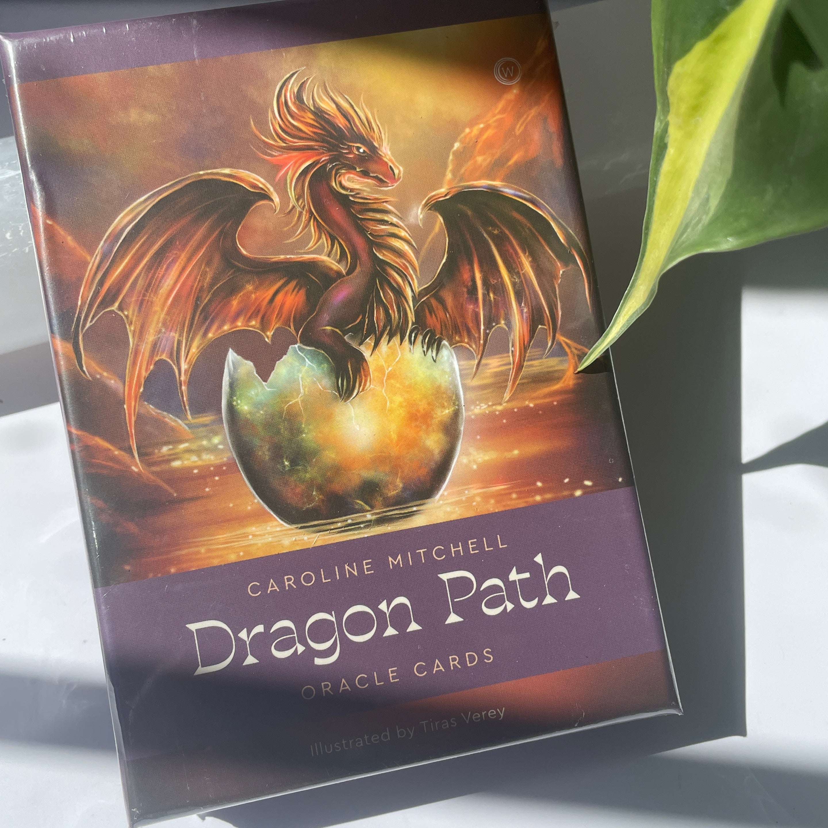 Dragon Path Oracle