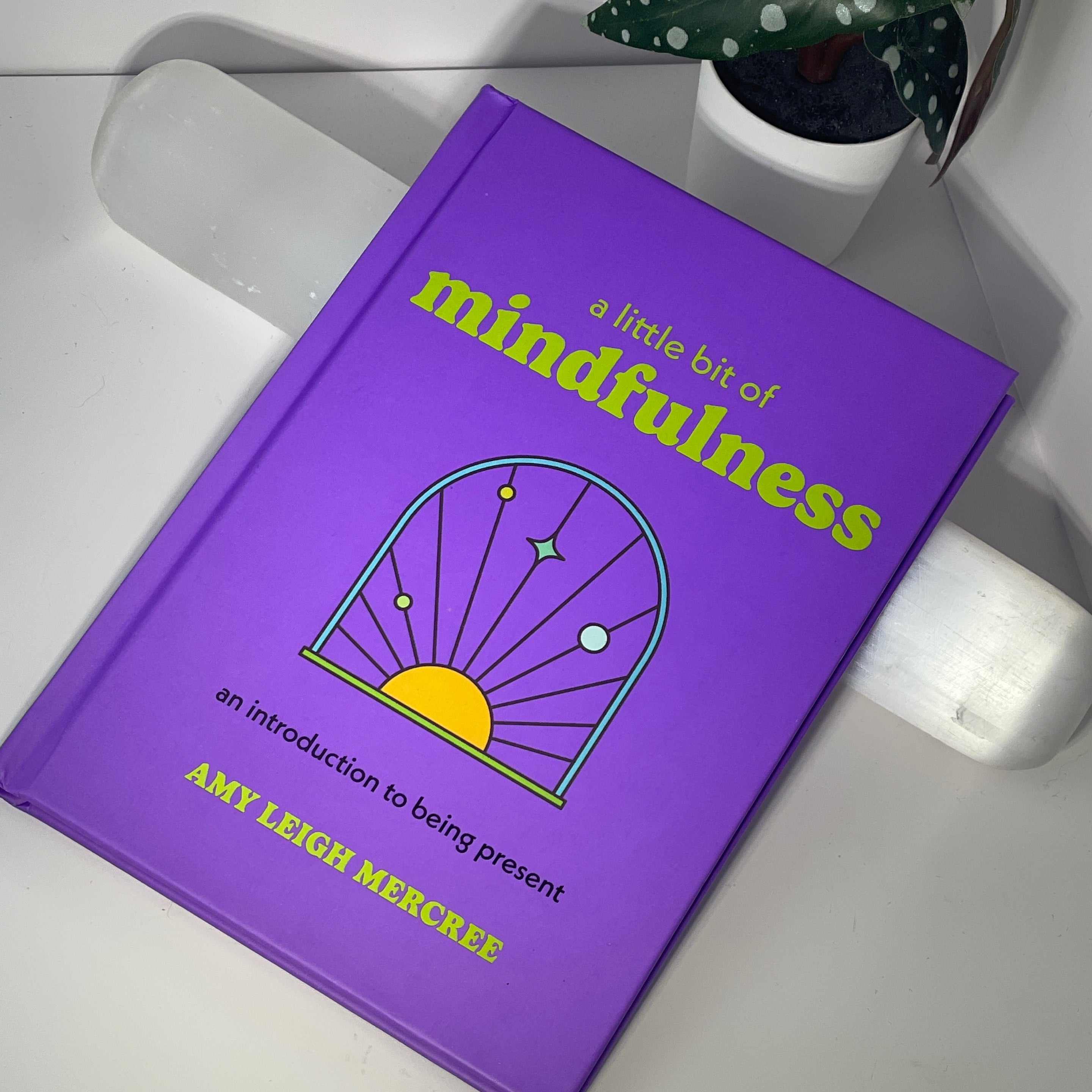 A Little Bit of Mindfulness