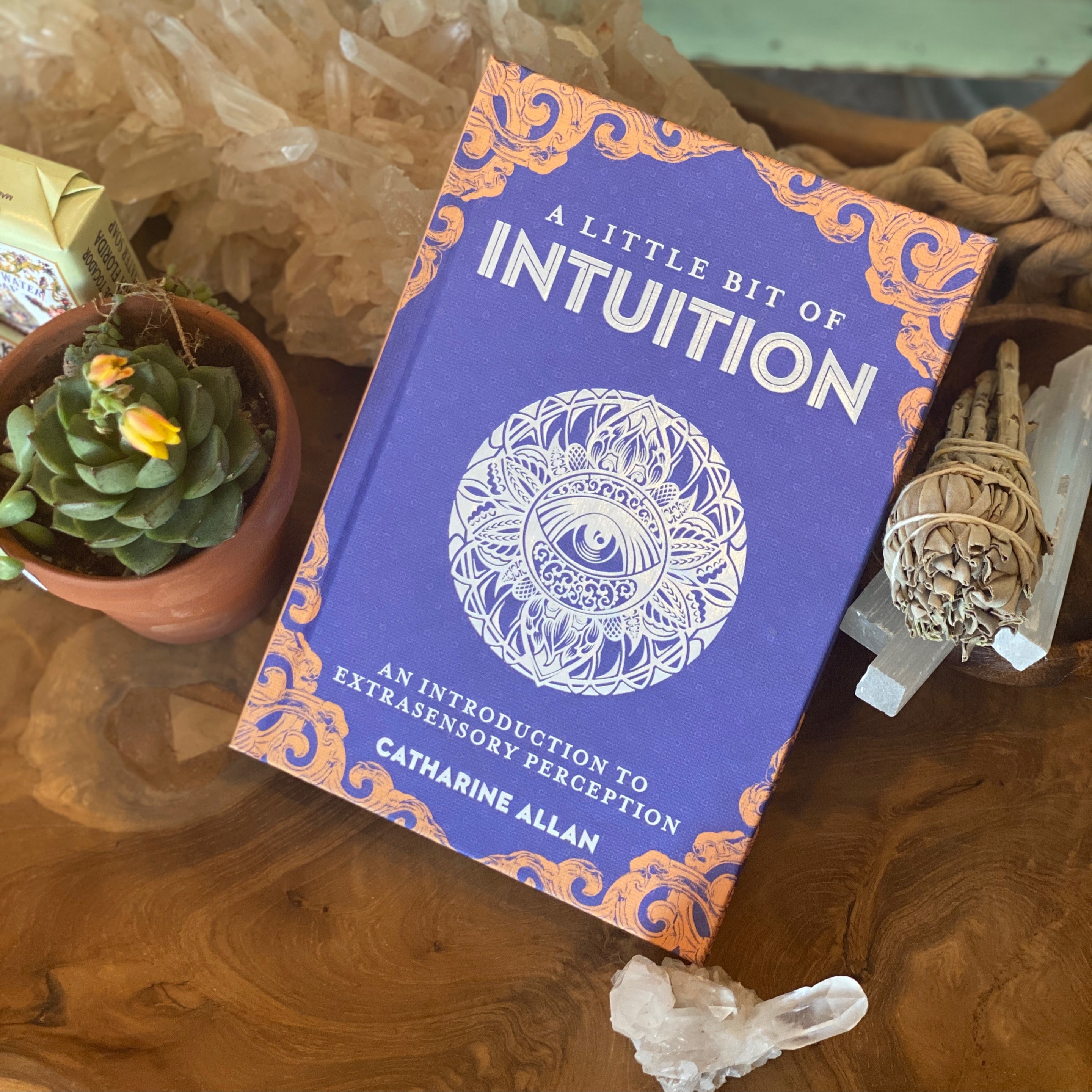 A Little Bit of Intuition Book