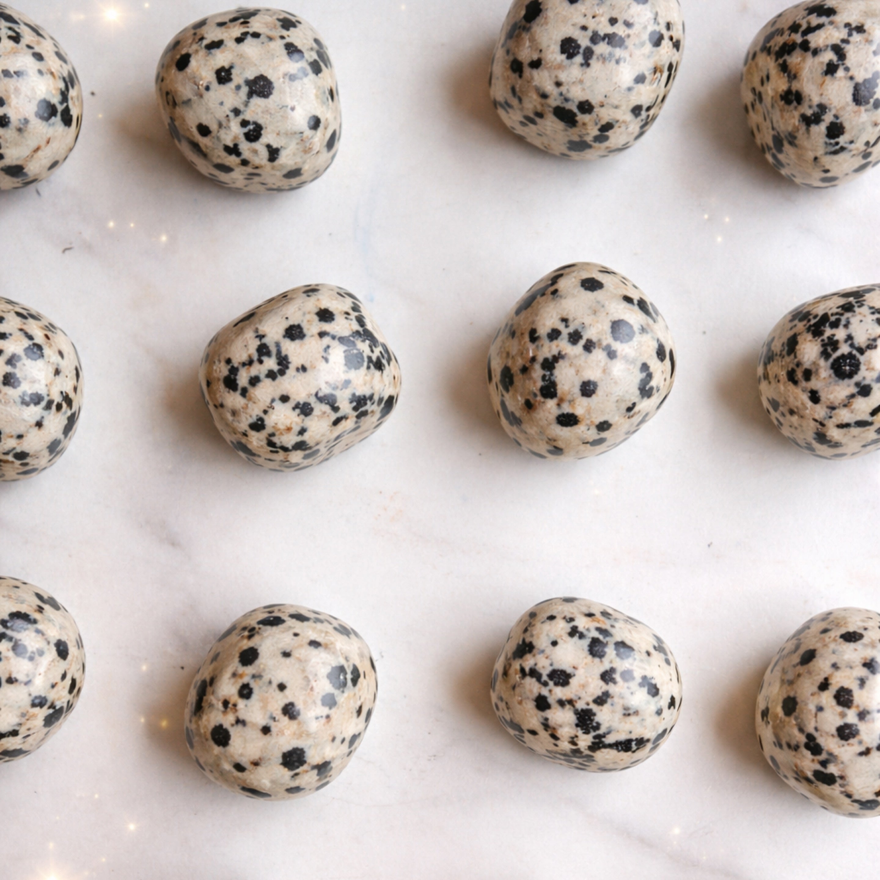 Dalmatian Jasper Tumble