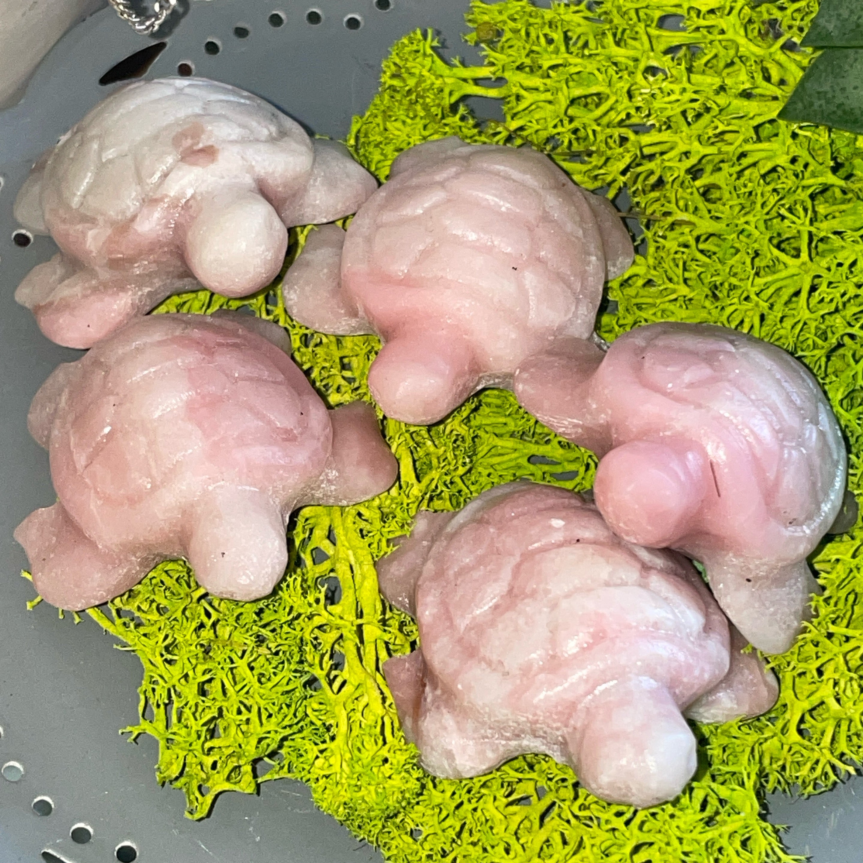 Pink Opal Sea Turtle