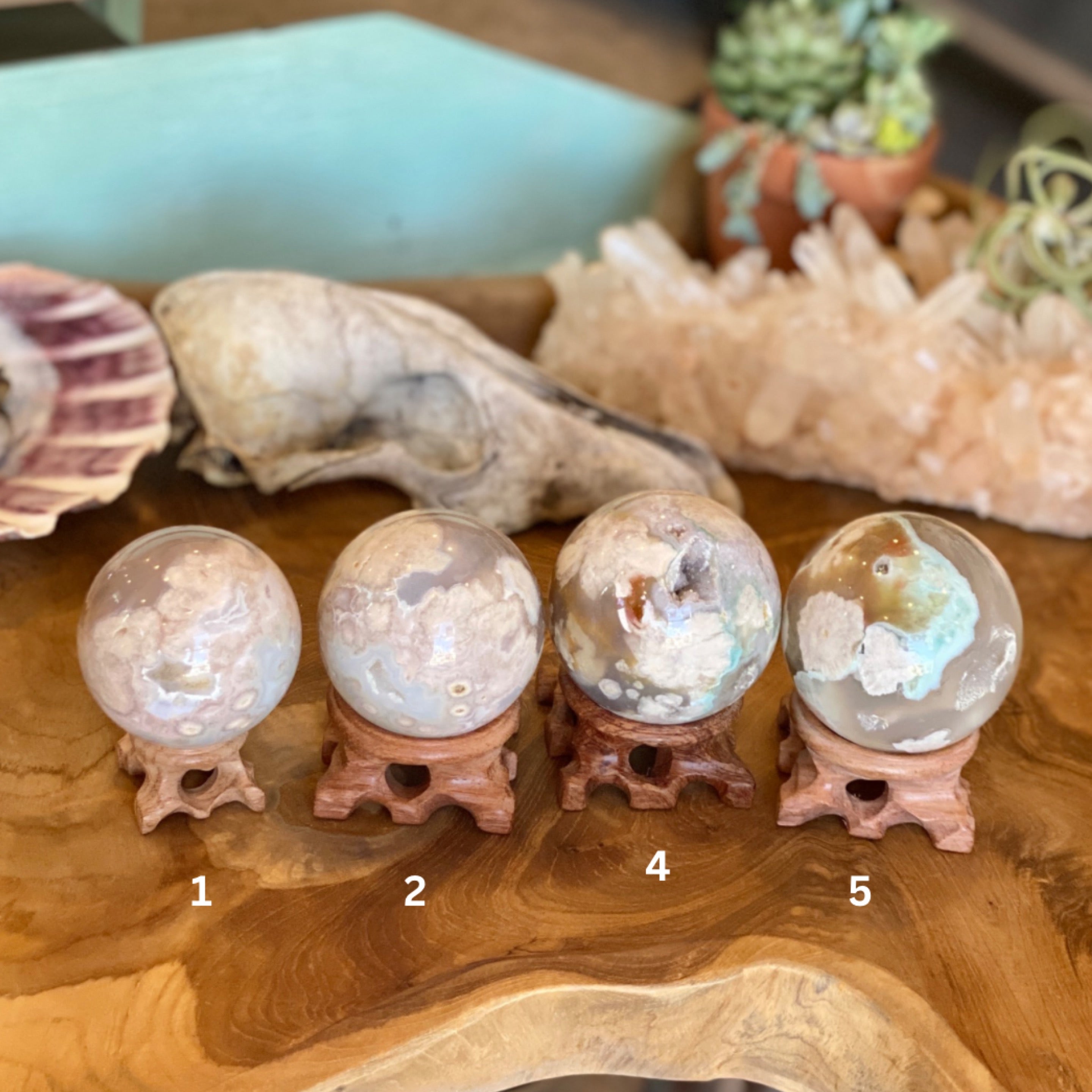 Flower Agate Spheres