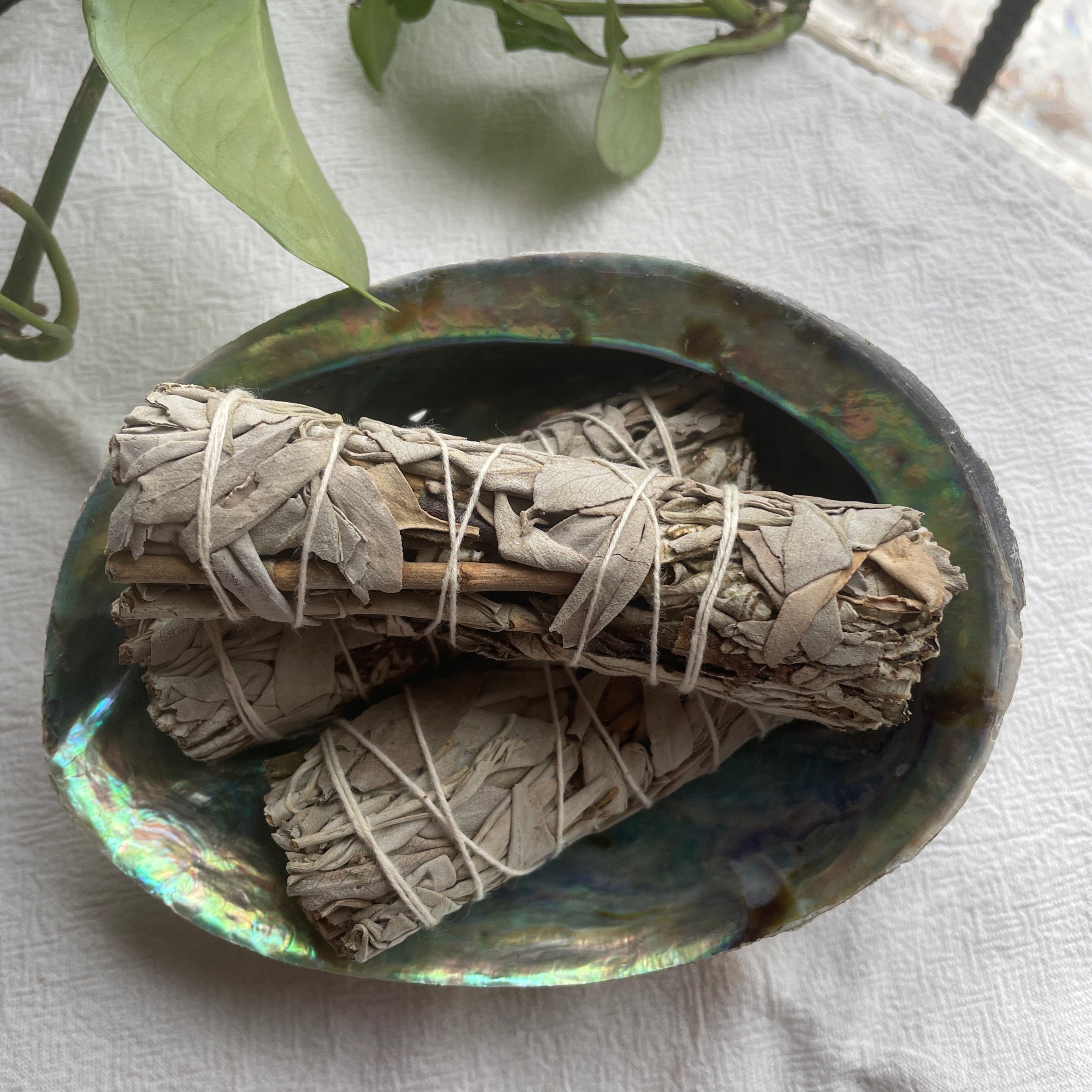White Sage + Yerba Santa Smudge Stick
