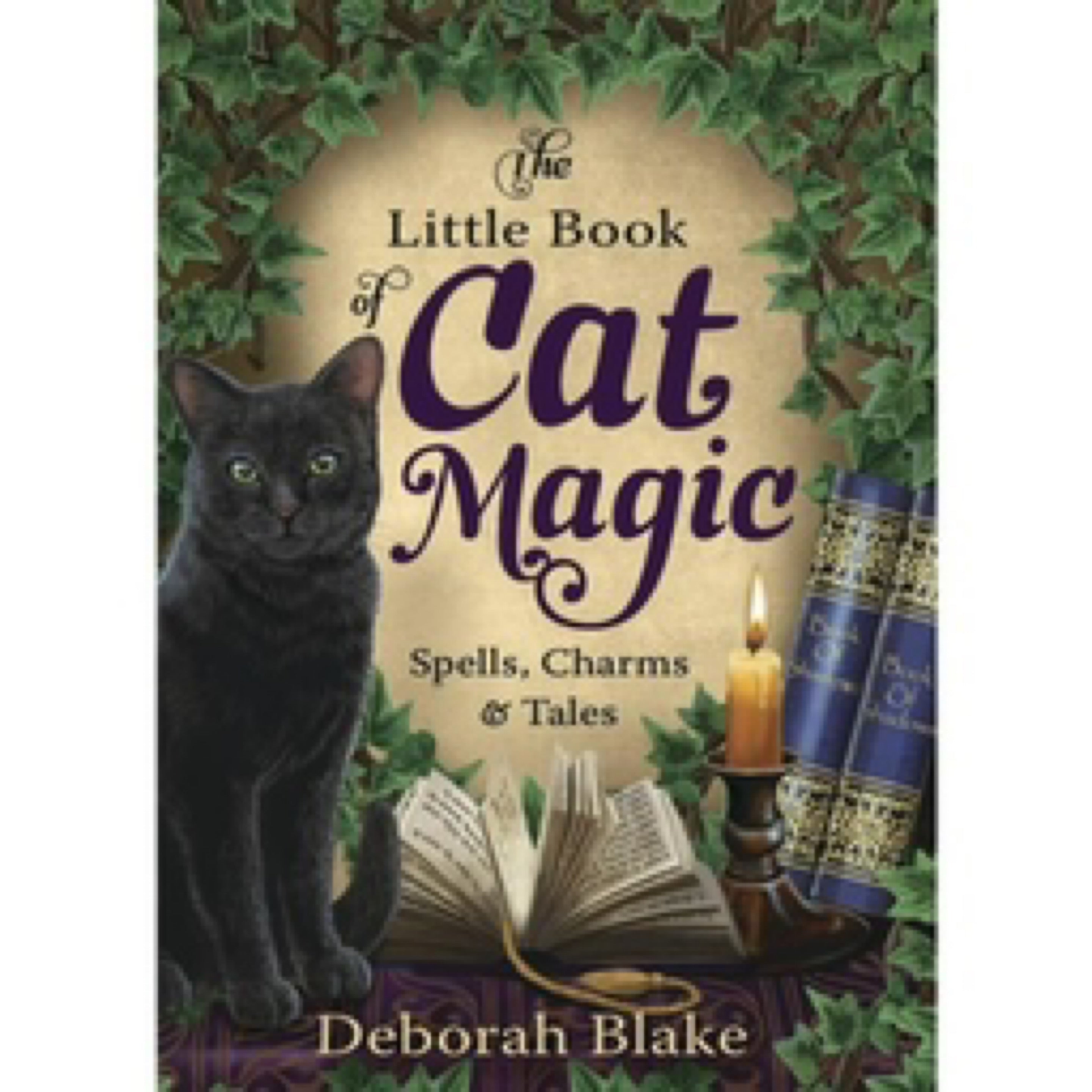 Little Book of Cat Magic