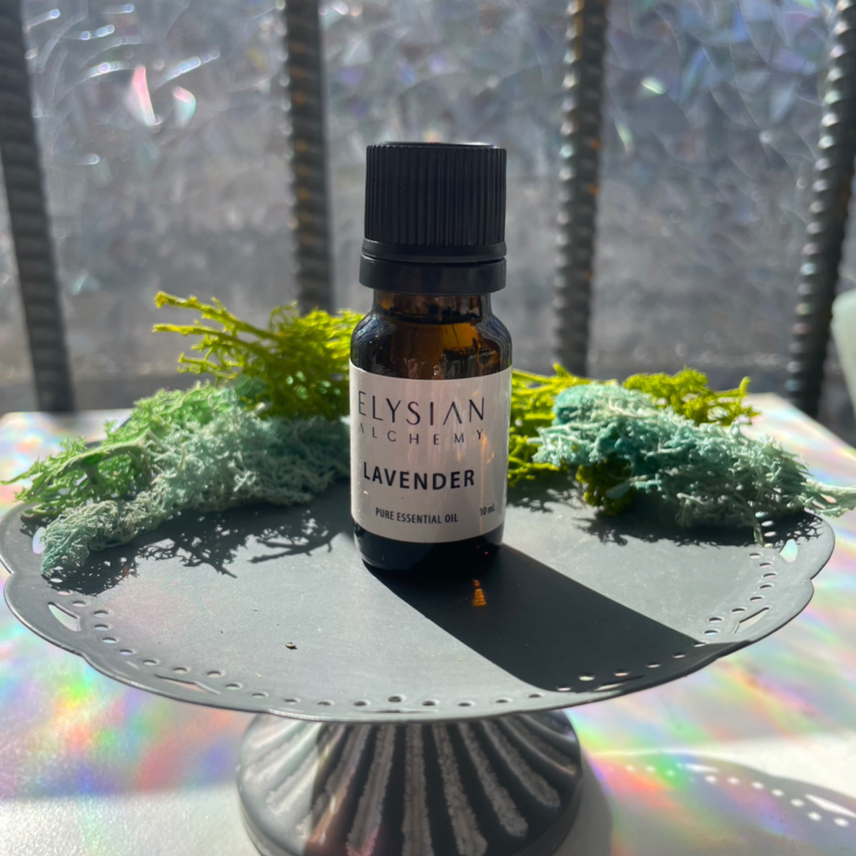 Lavender - Essential Oil