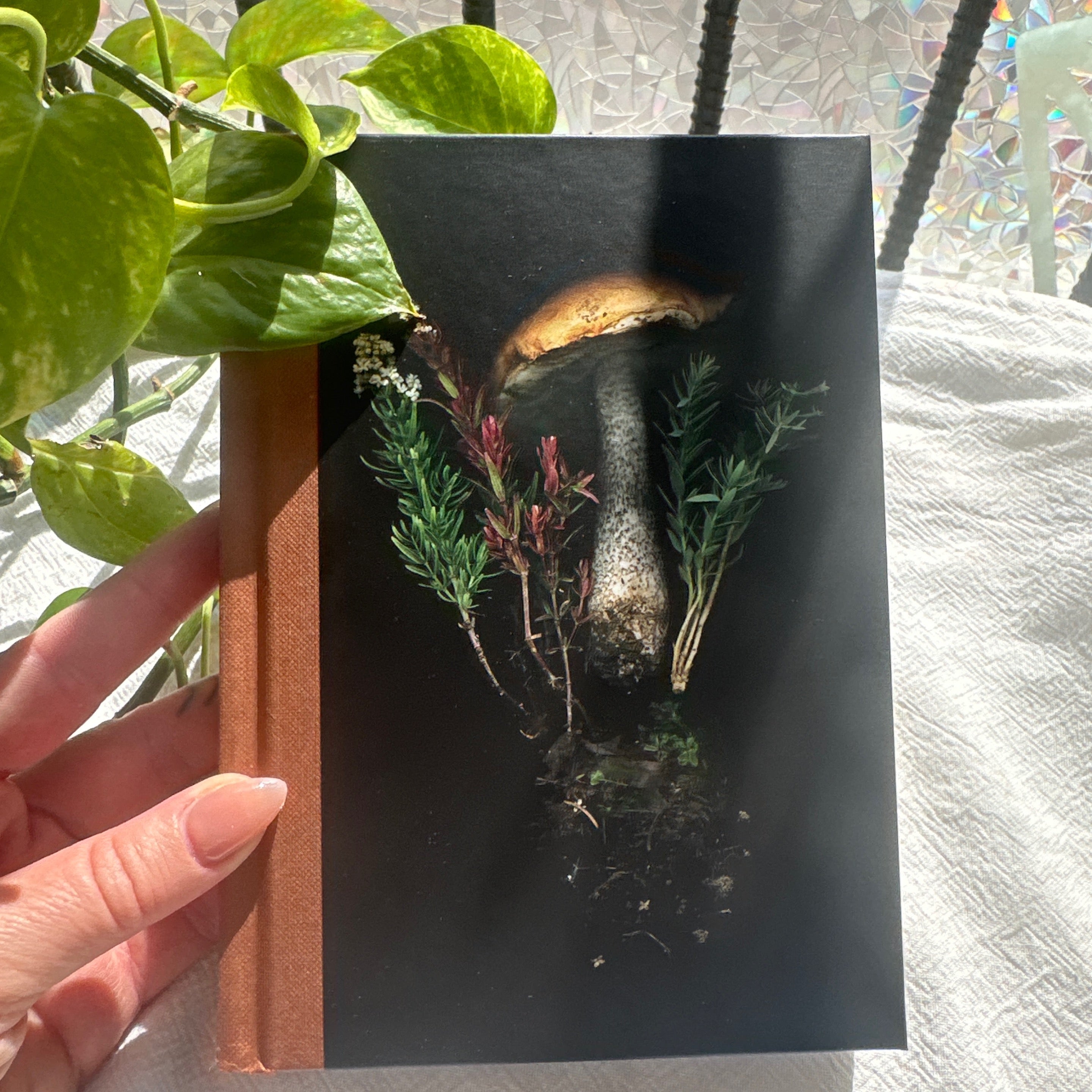 Mushroom Journal