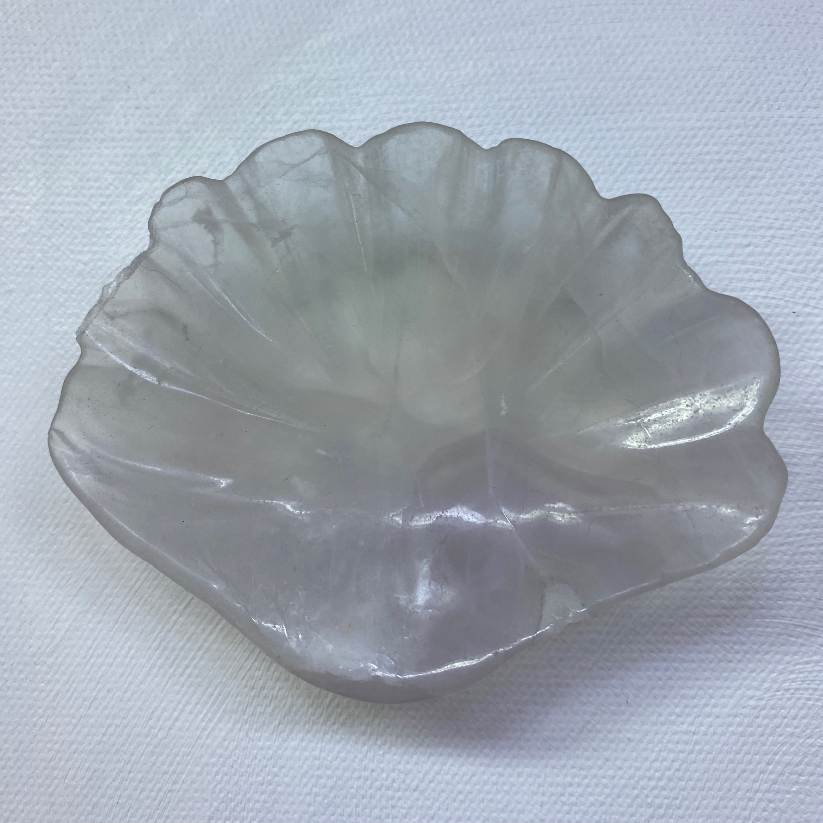 Fluorite Sea Shell