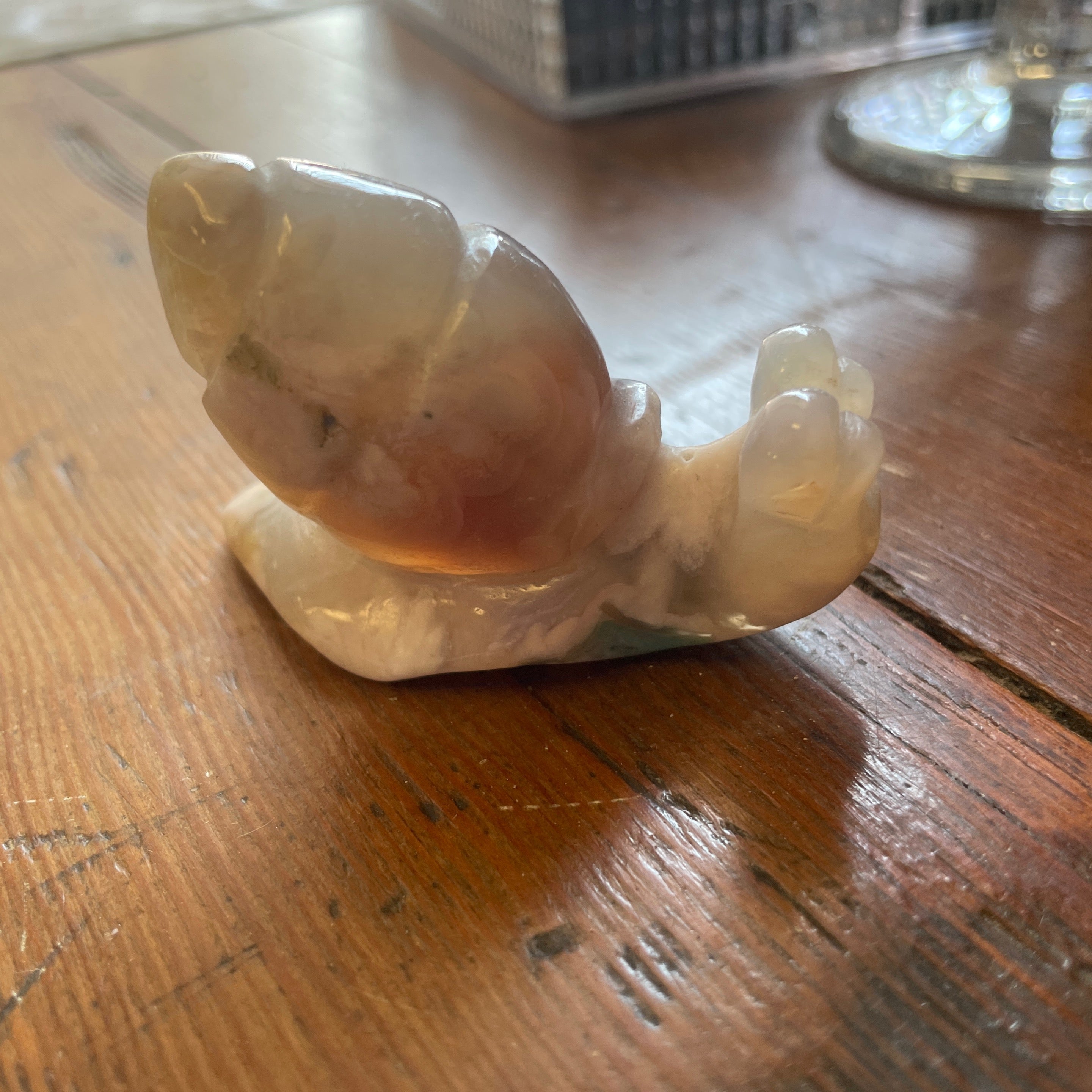 Flower Agate Snail