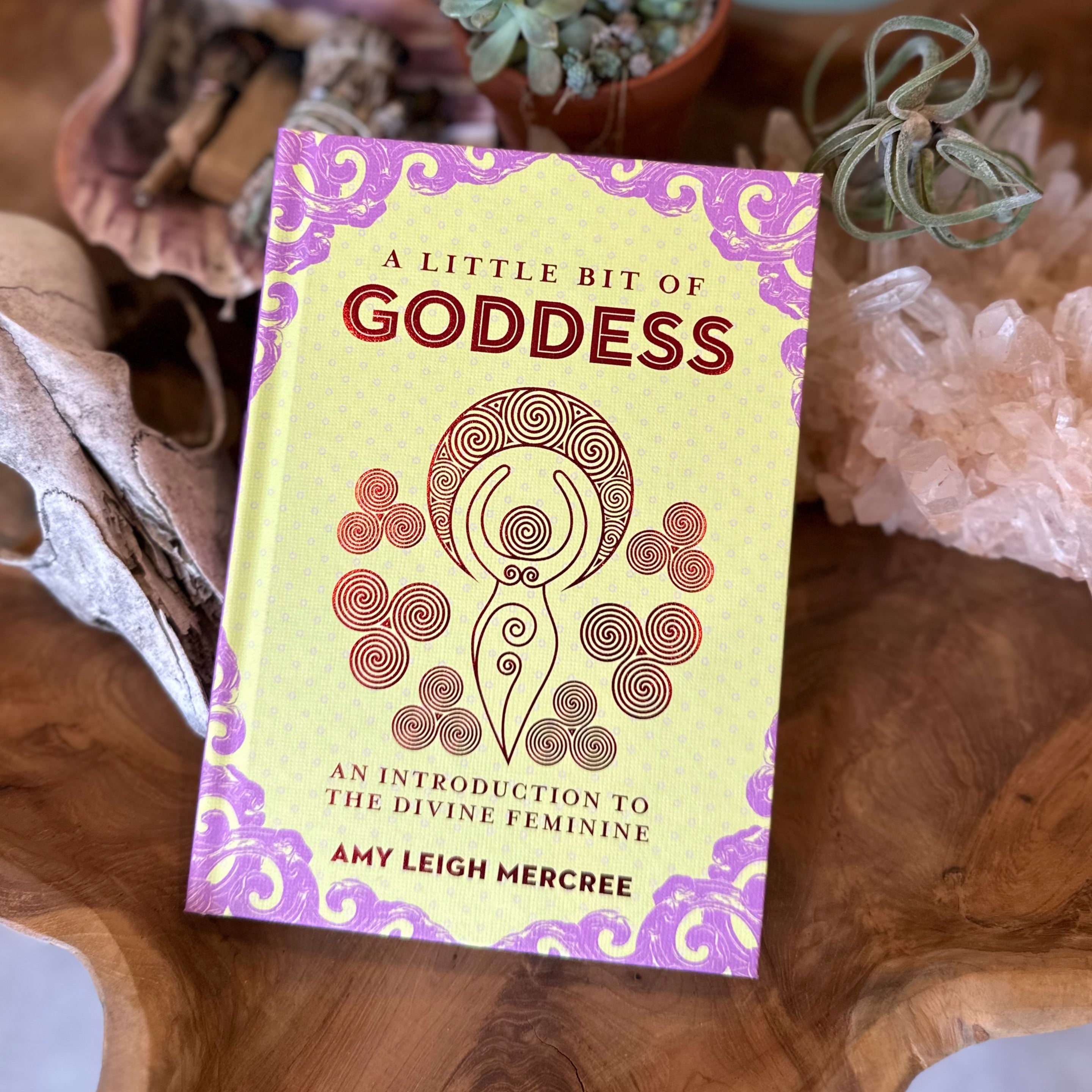 A Little Bit of Goddess Book