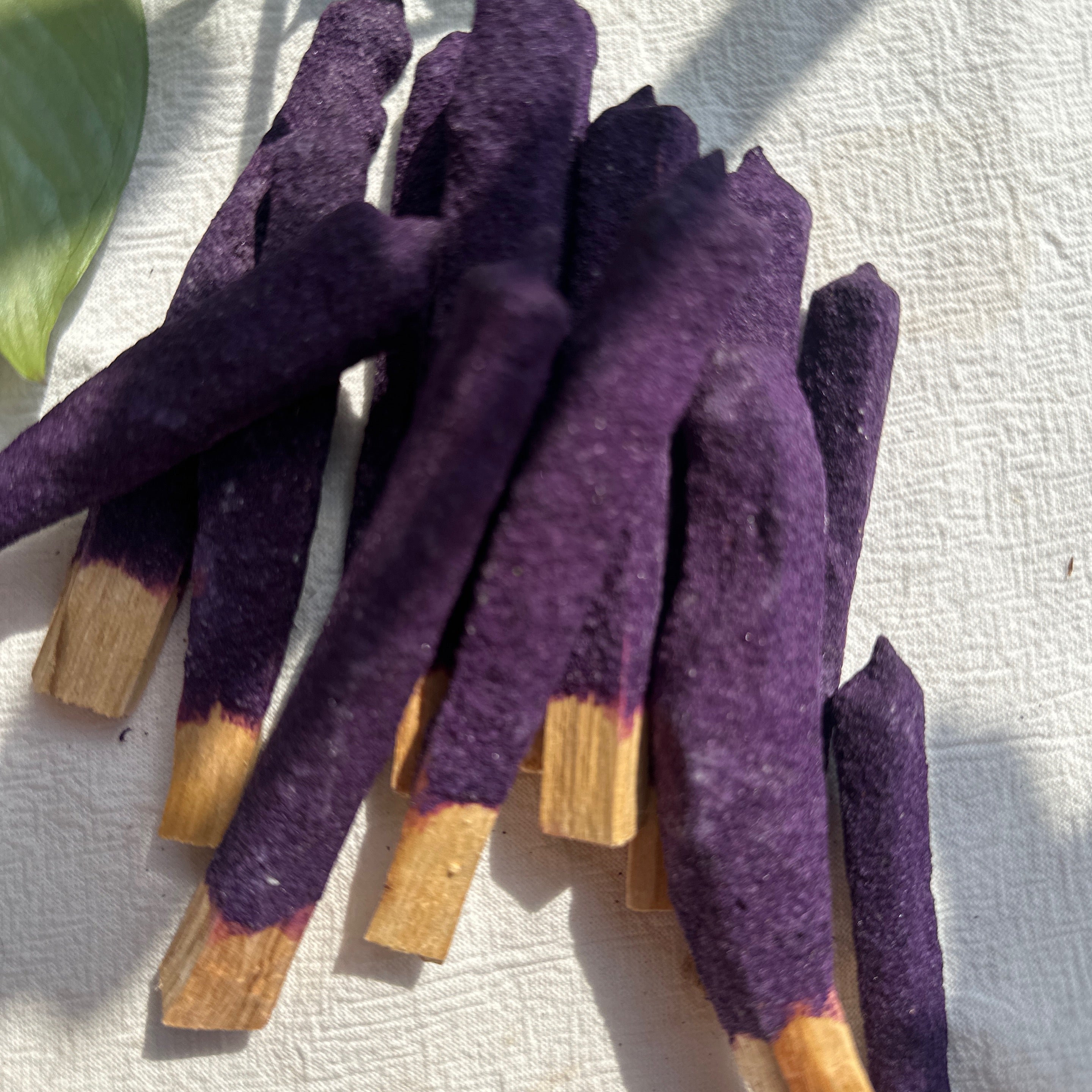 Resin Dipped Palo Santo