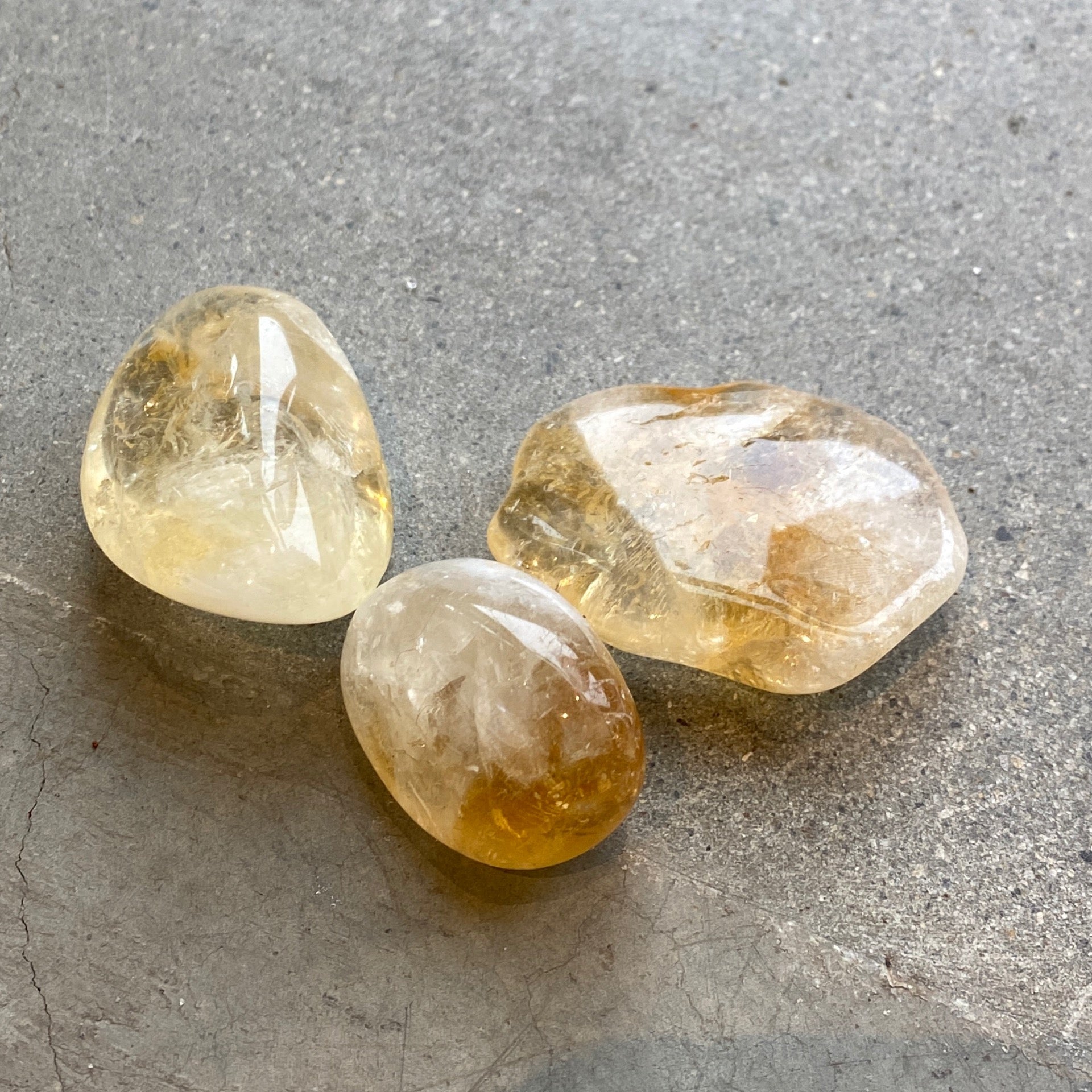 Citrine Palms