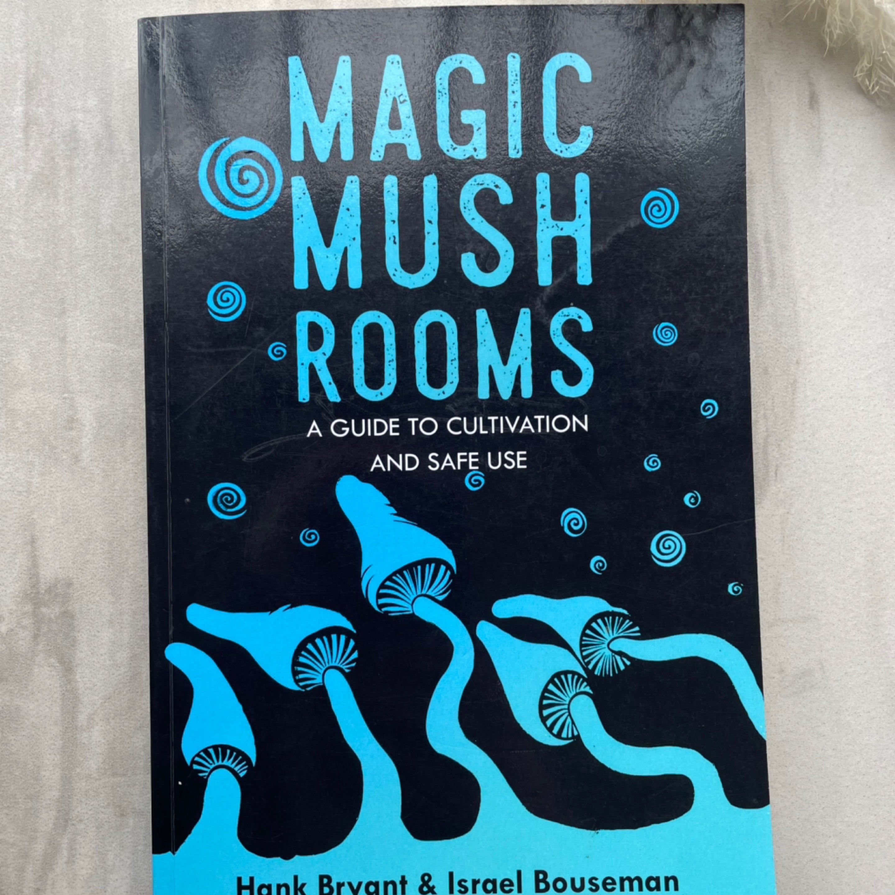 Magic Mushrooms