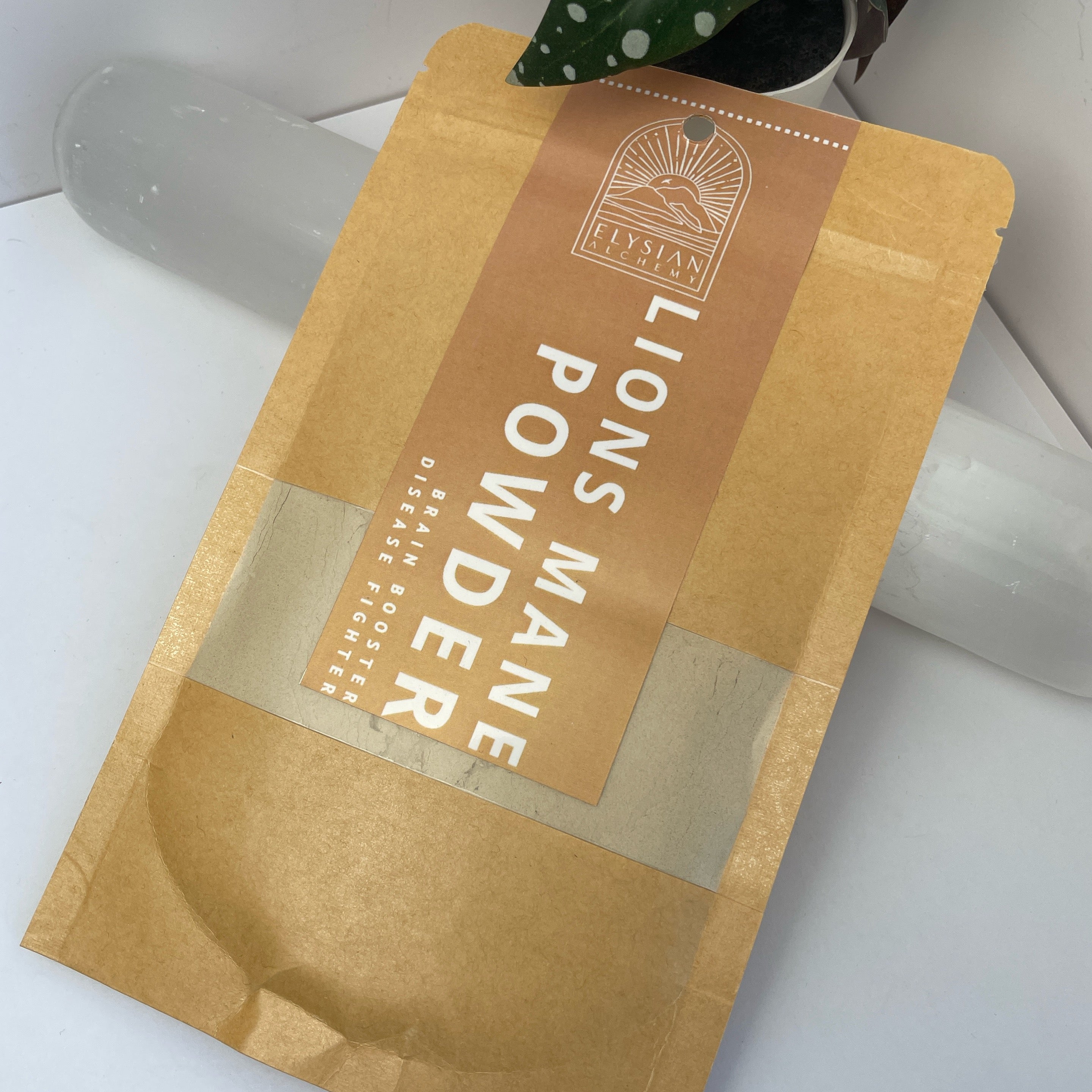 Elysian Lion’s Mane Powder