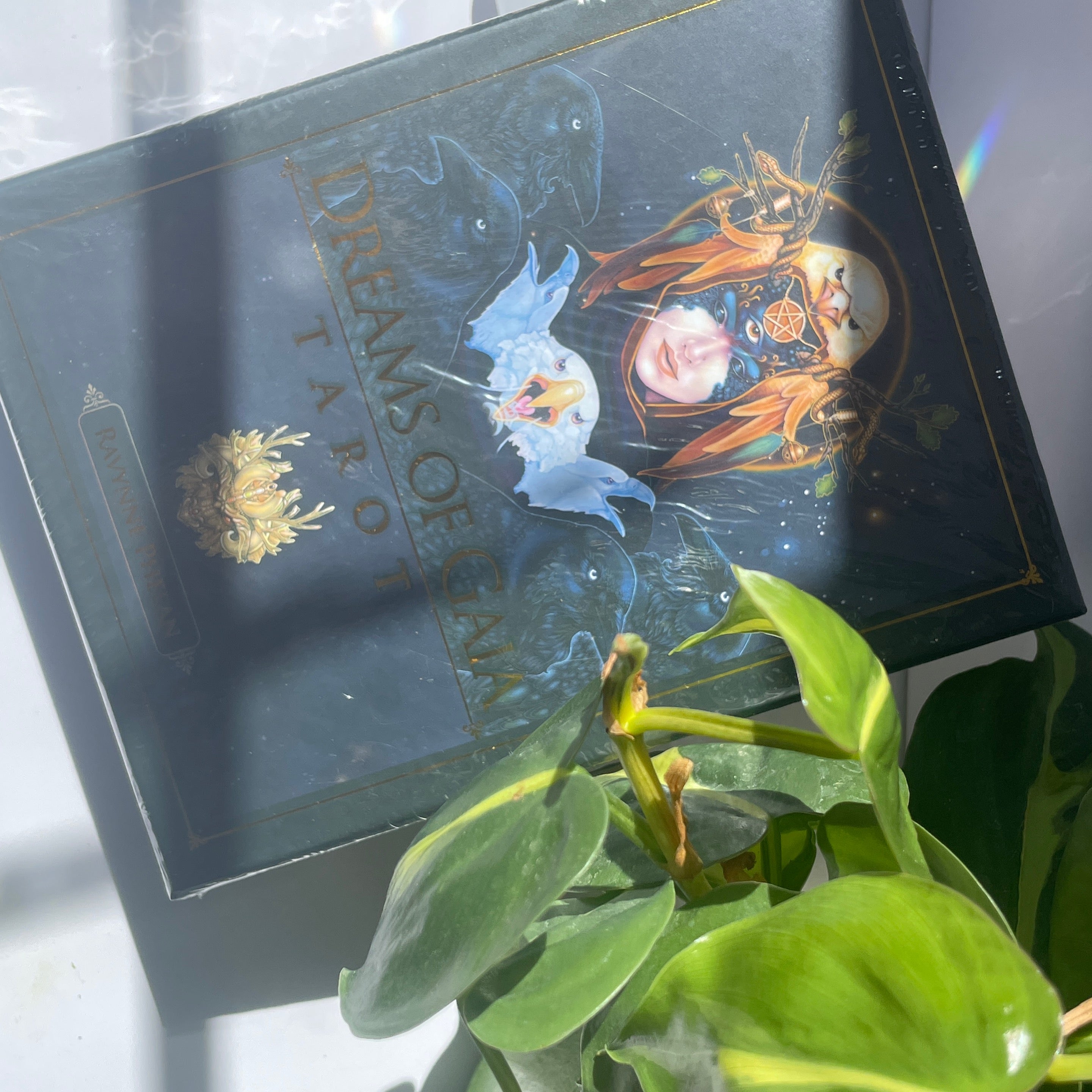 Dreams of Gaia Tarot