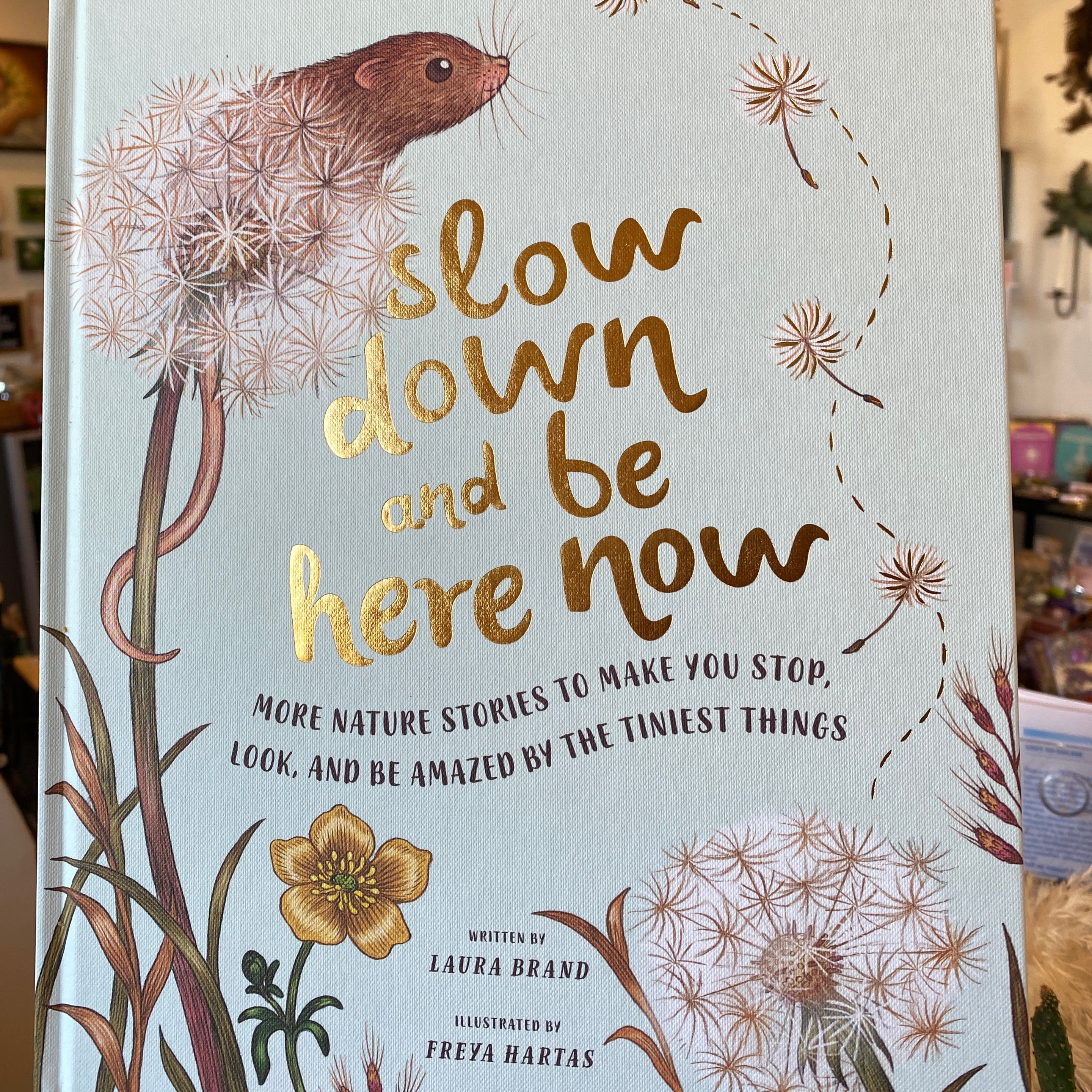 Slow Down and Be Here Now