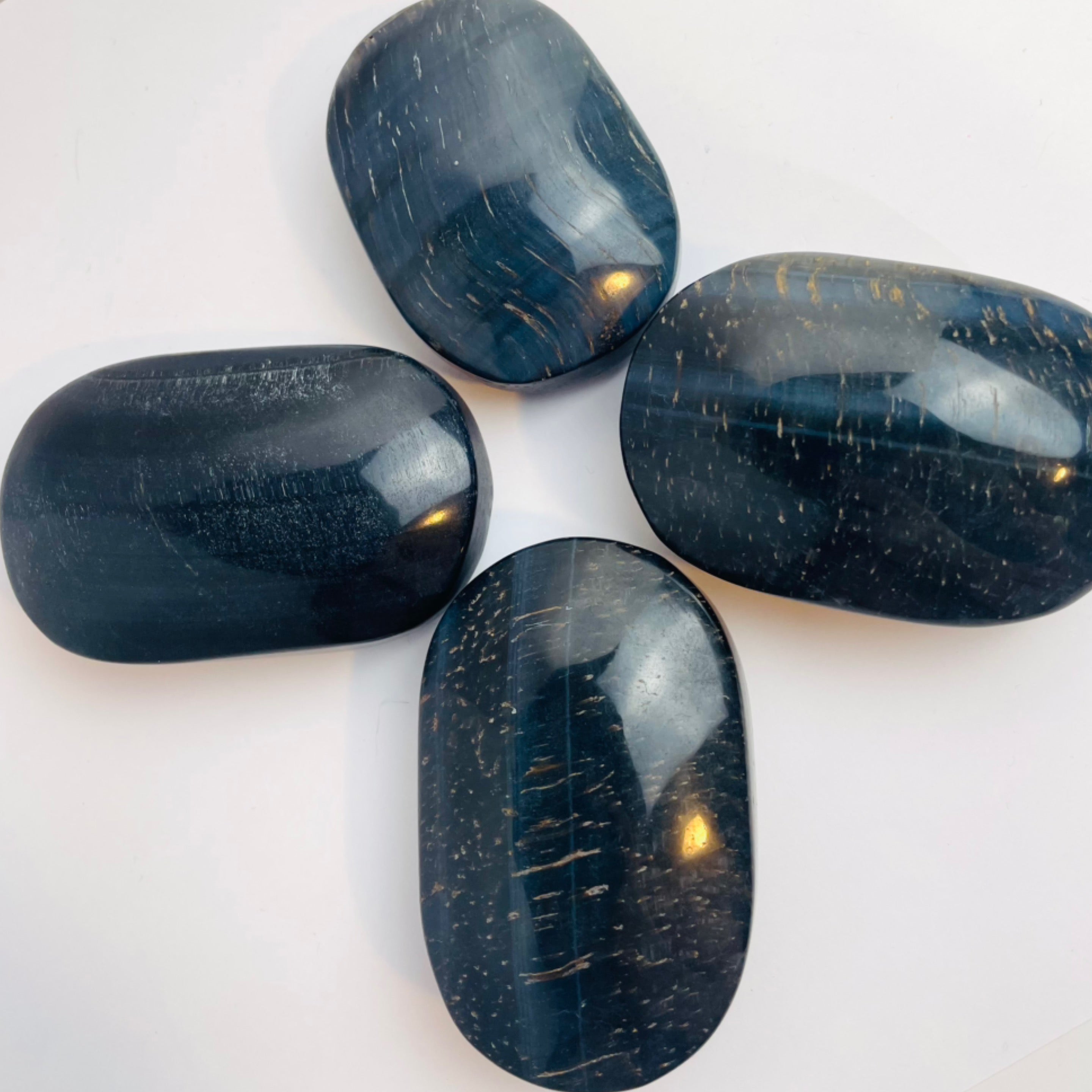 Blue Tigers Eye Palm