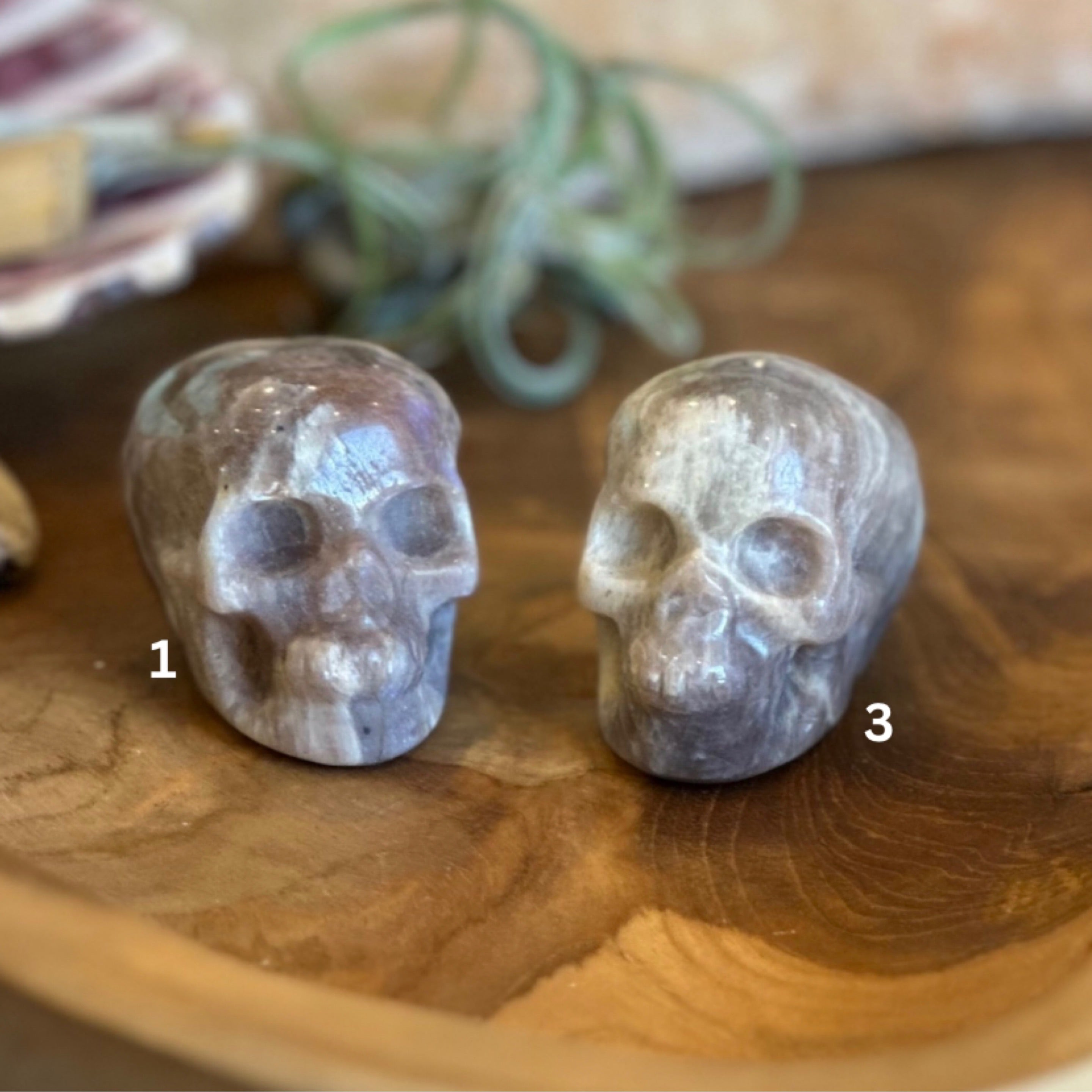 Black Moonstone Skulls