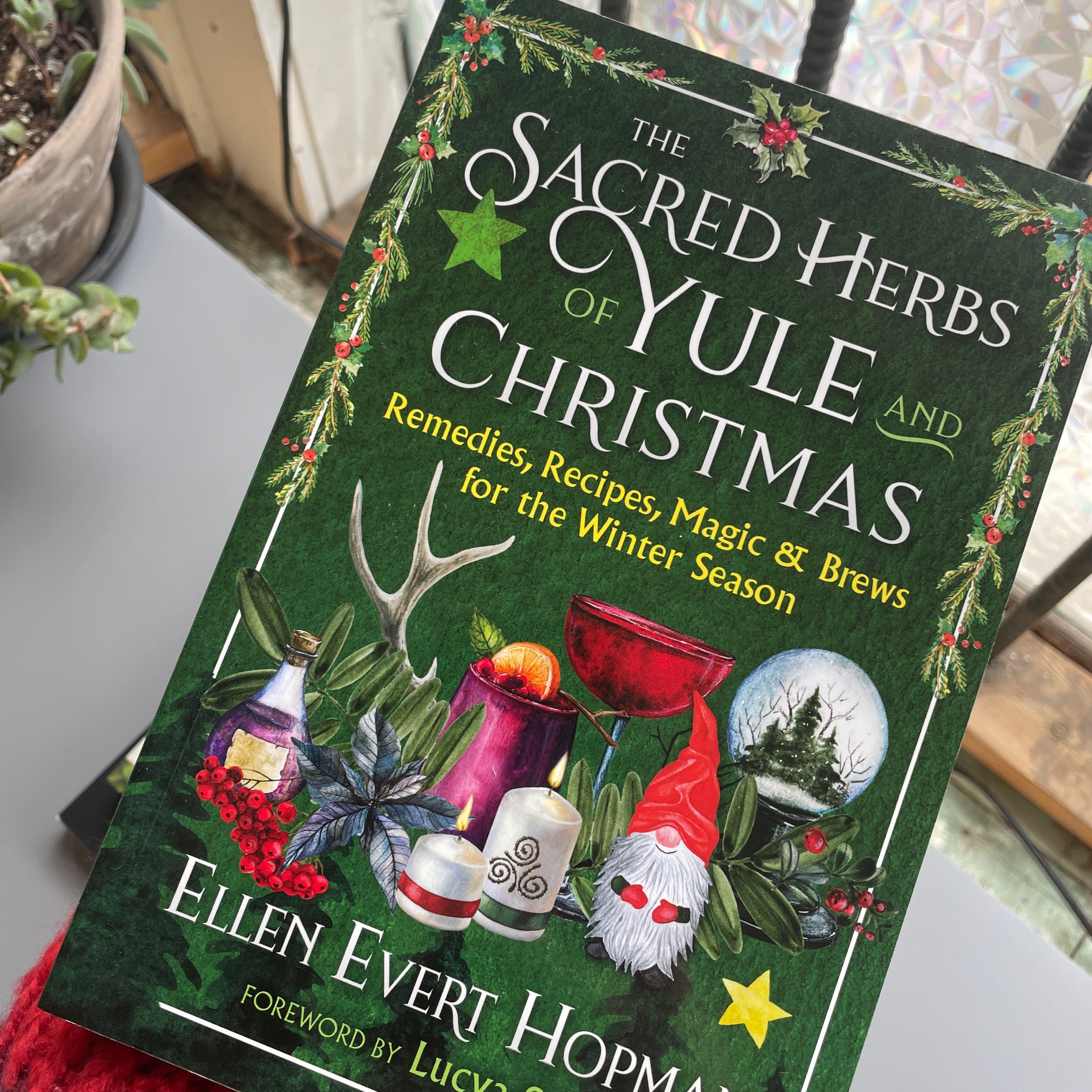 The Sacred Herbs Of Yule And Christmas