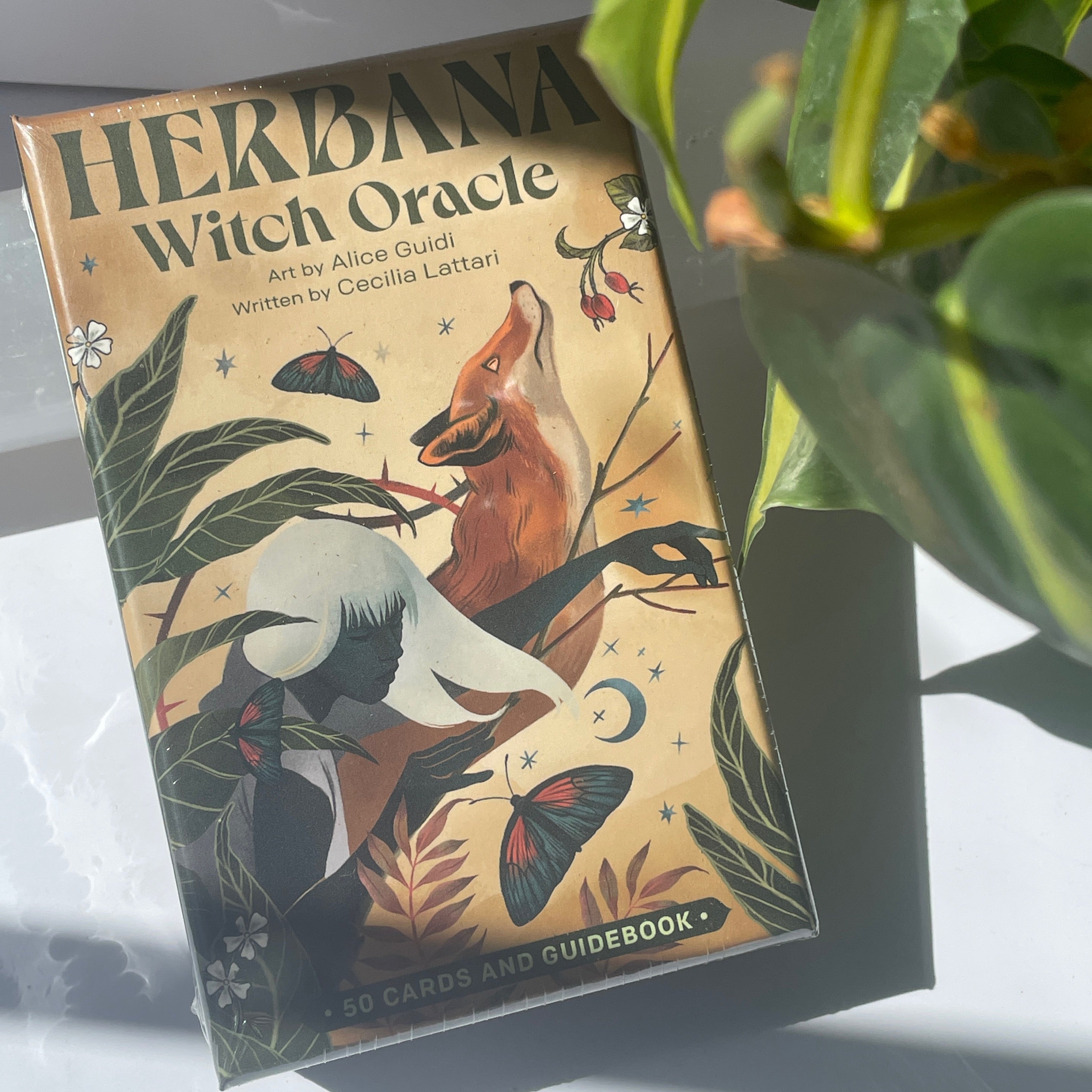 Herbana Witch Oracle