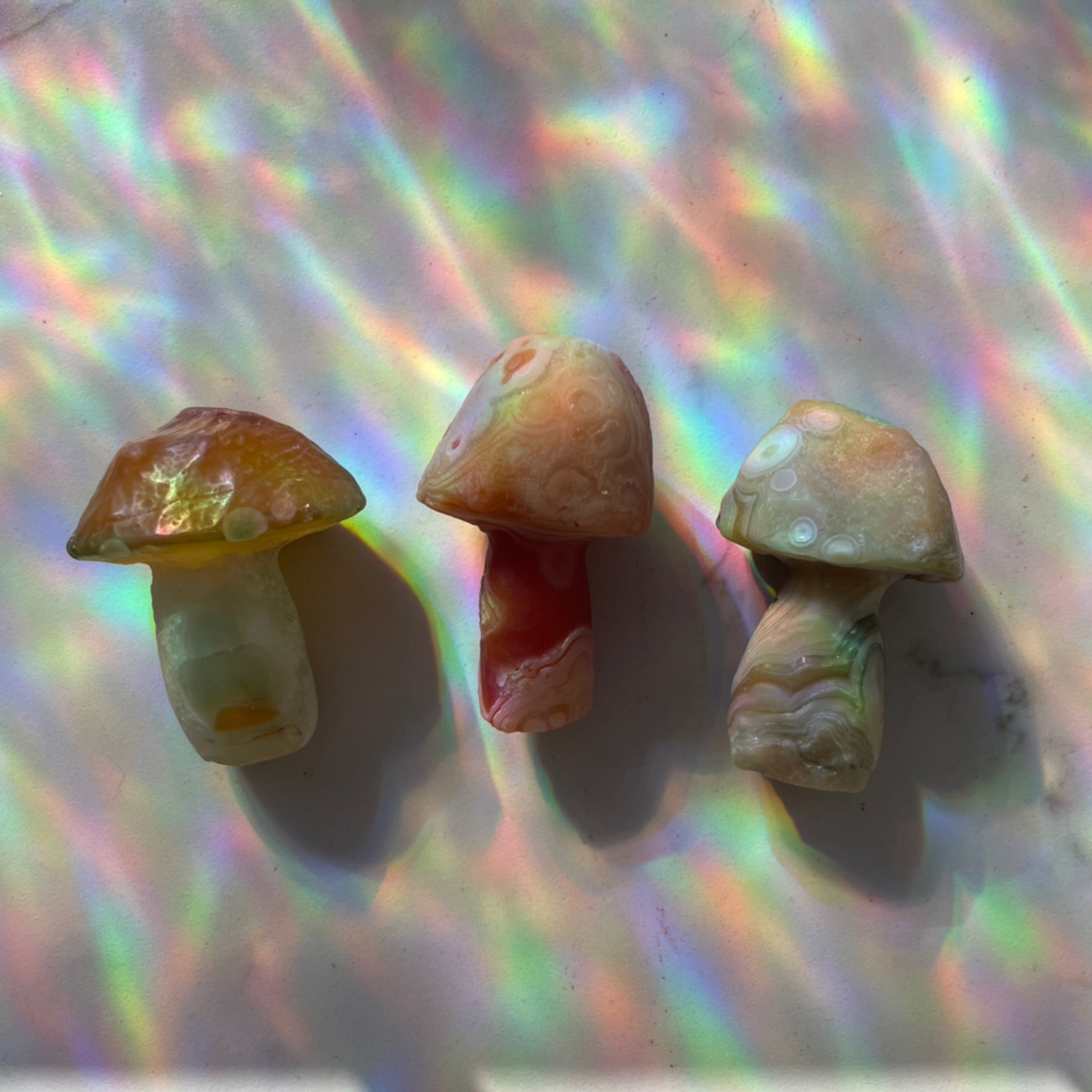 Gobi Agate Mushrooms