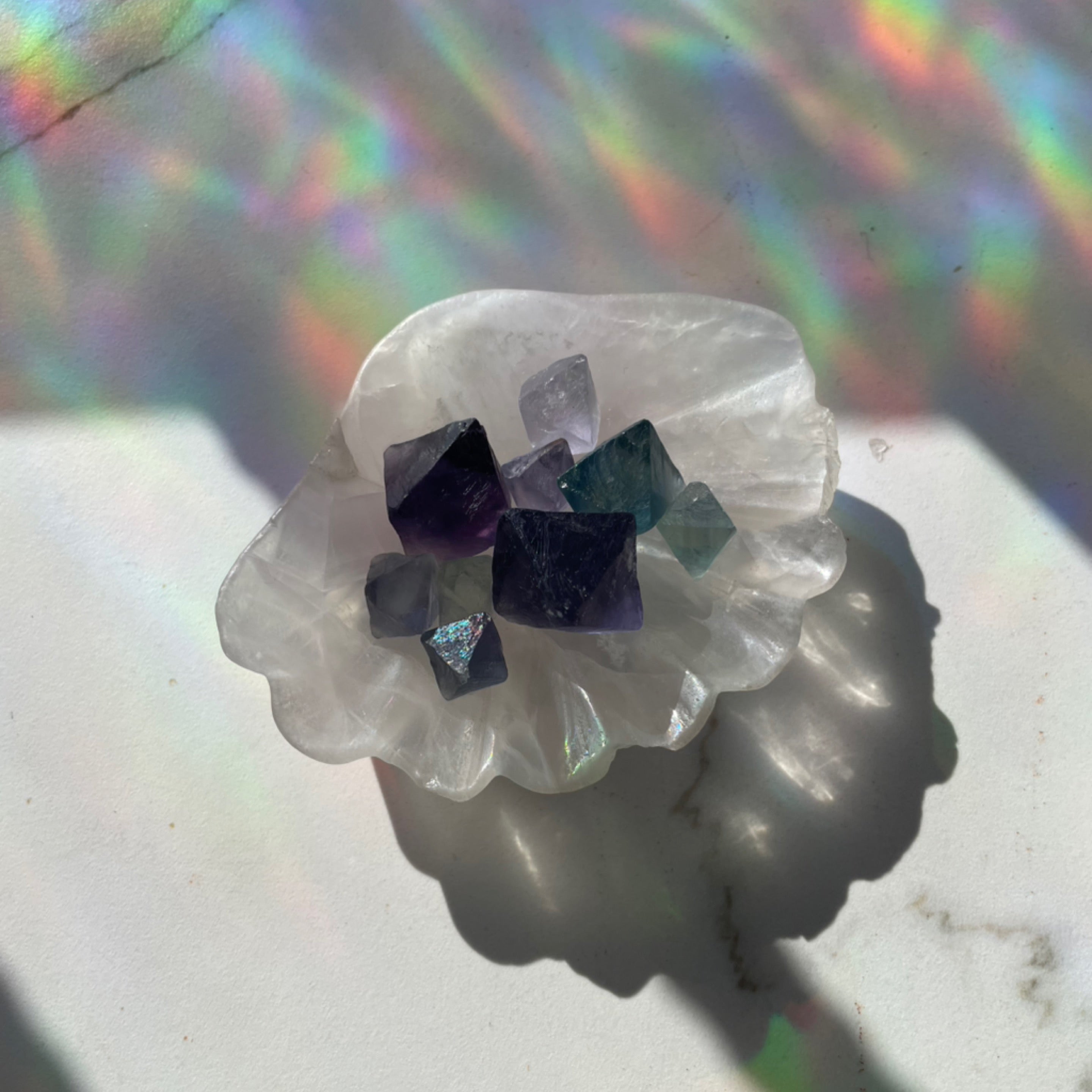 Fluorite Shell Bowl