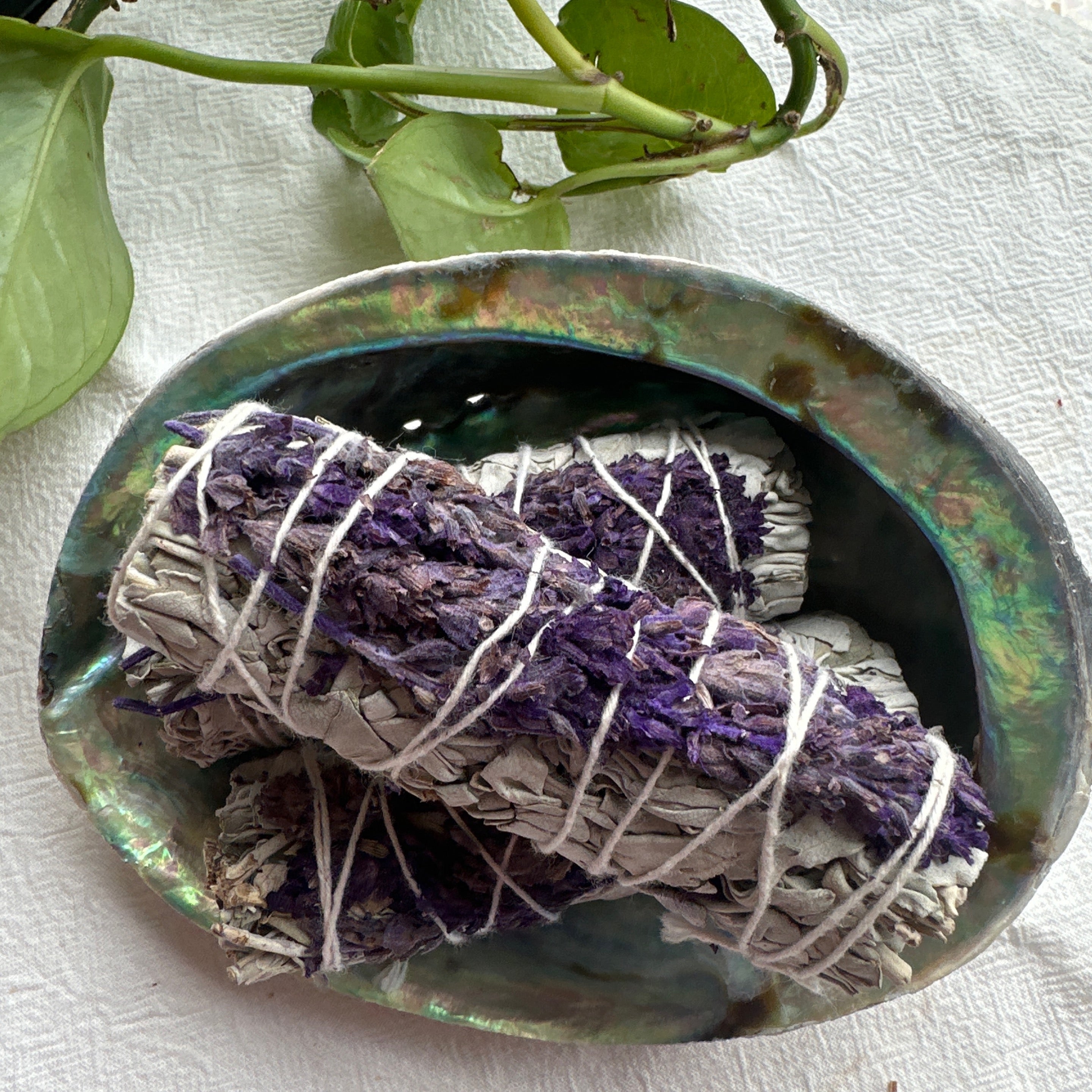 White Sage + Lavender Smudge Stick