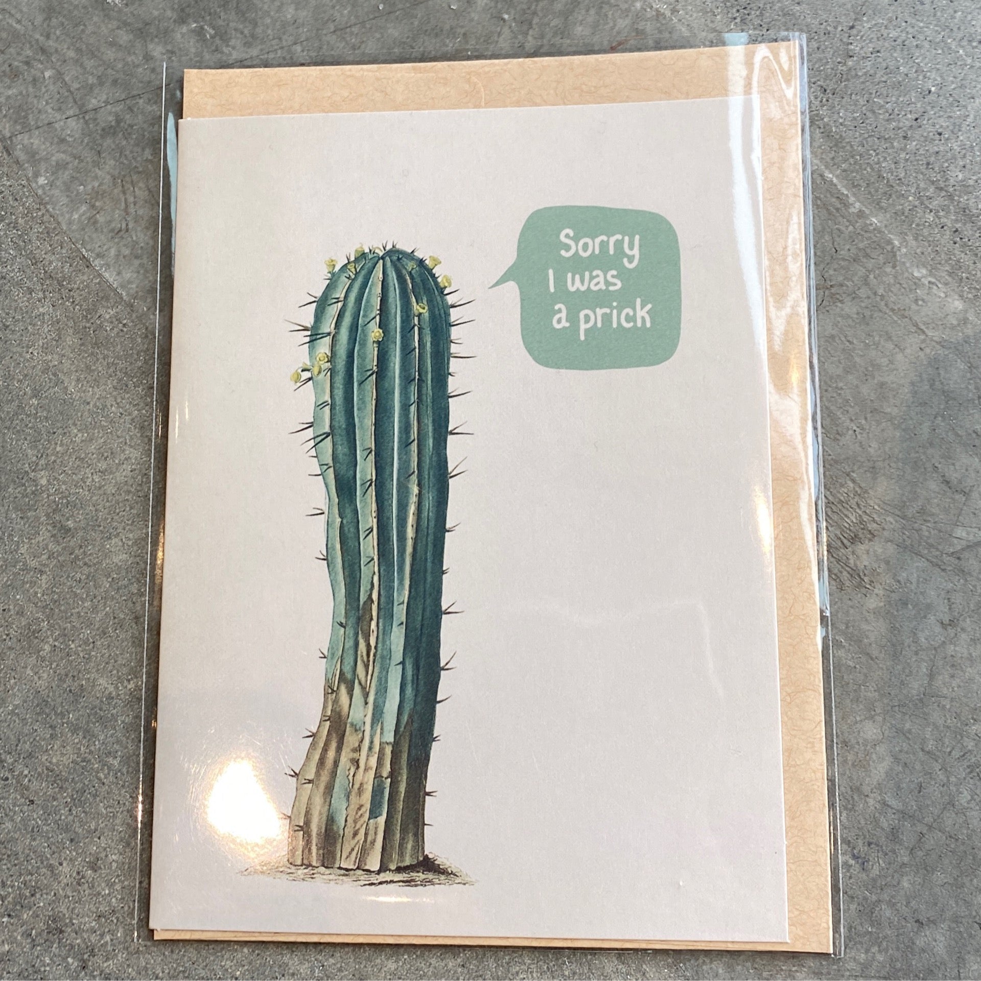 Sorry Cactus Card