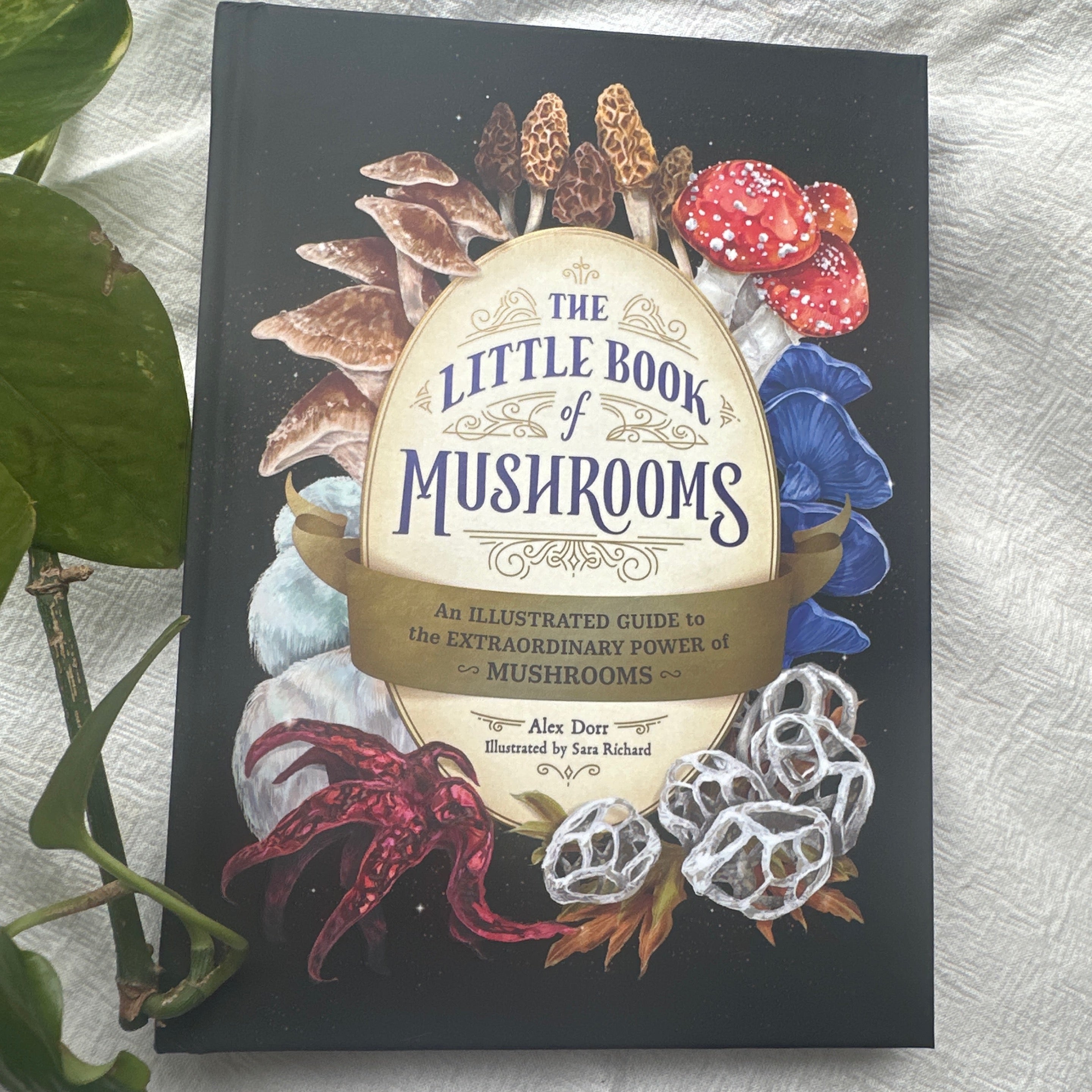 The Little Book of Mushrooms