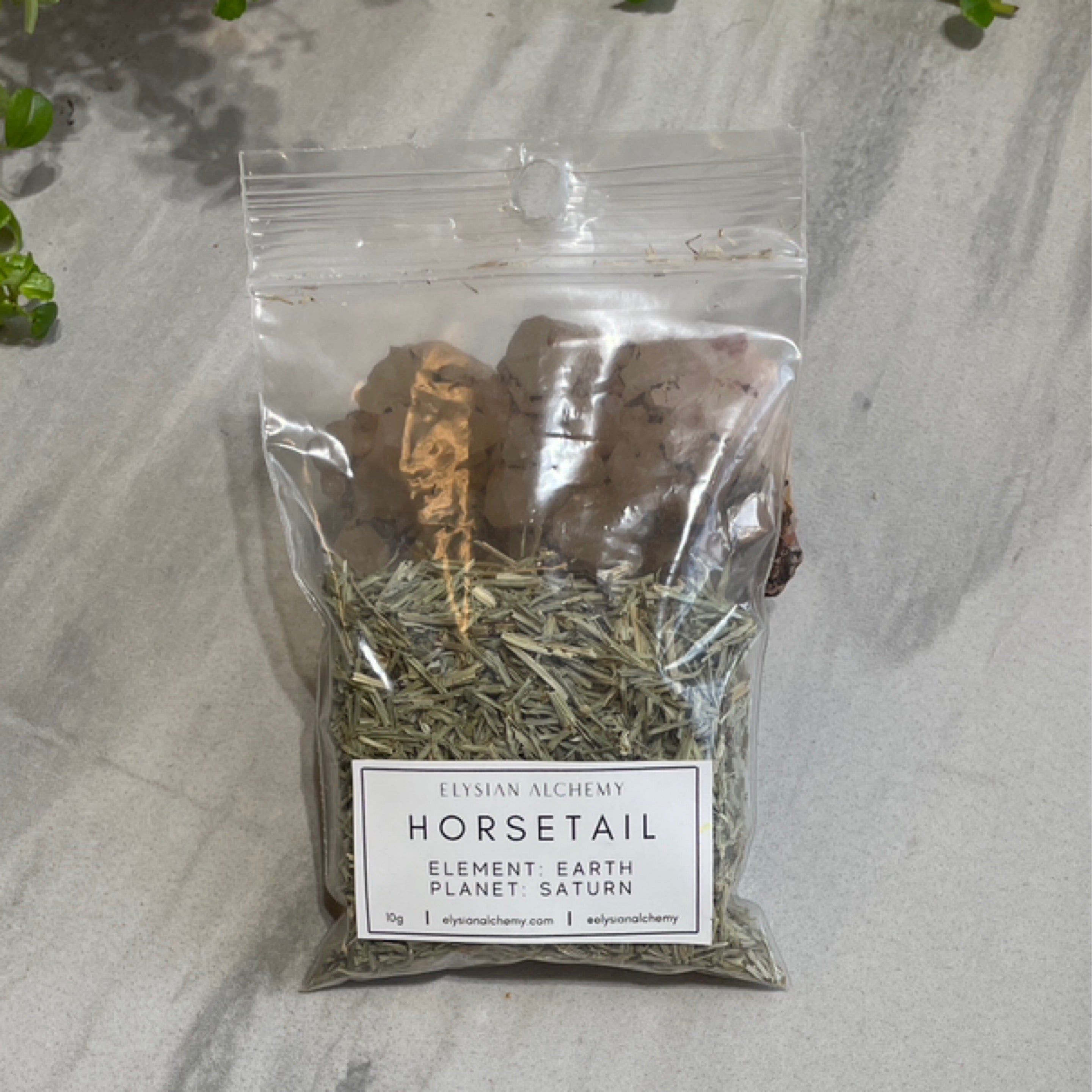 Herb - Horsetail