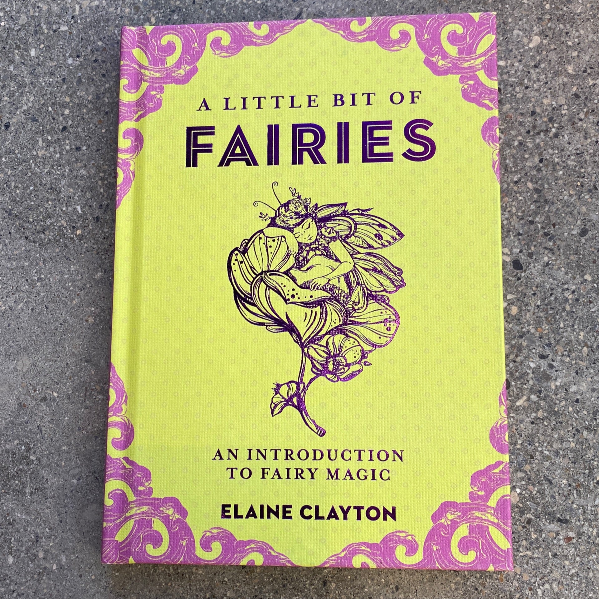 A Little Bit of Fairies Book