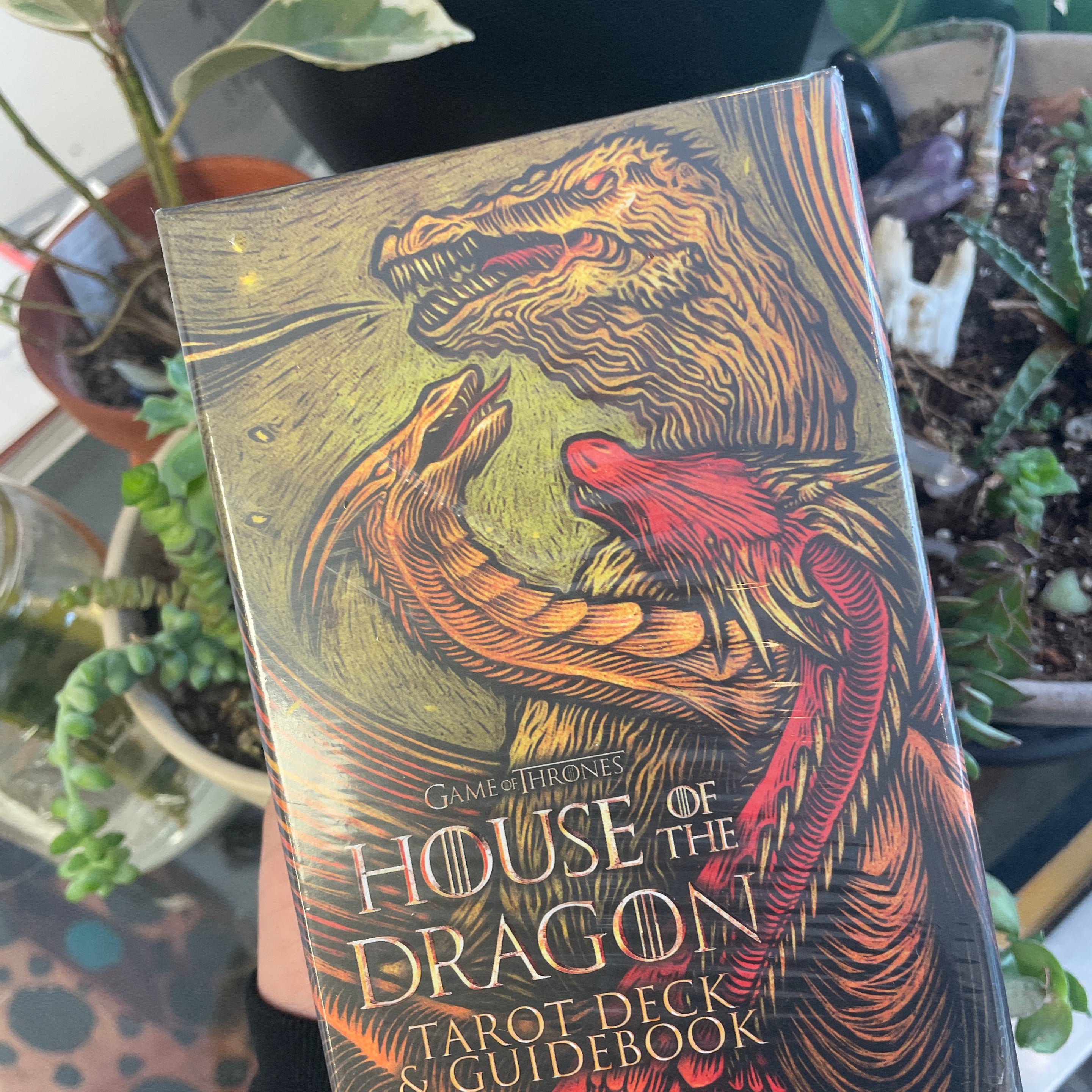 House Of The Dragon Tarot Deck