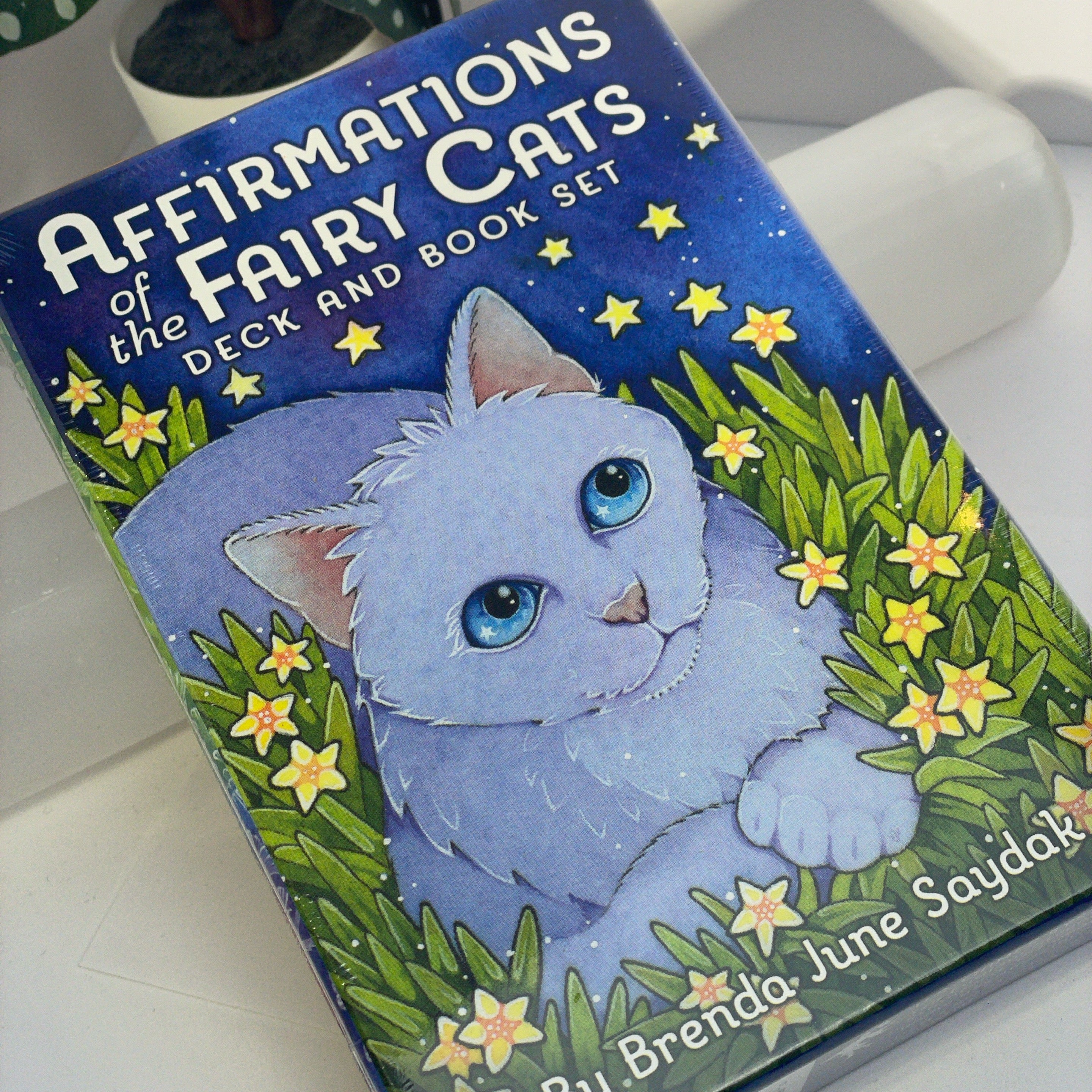 Affirmations Of The Fairy Cats Deck And Book Set