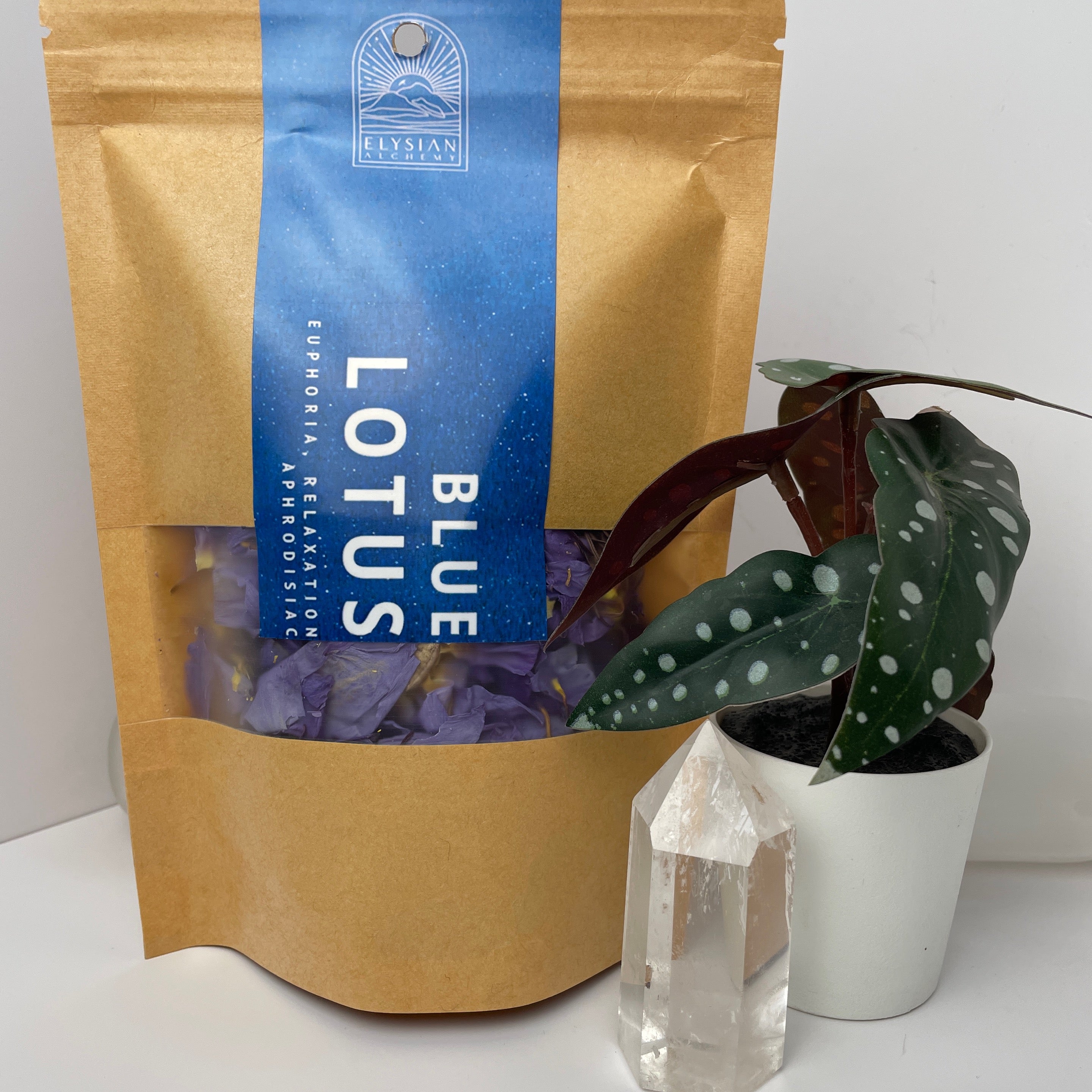 Elysian Blue Lotus Flower